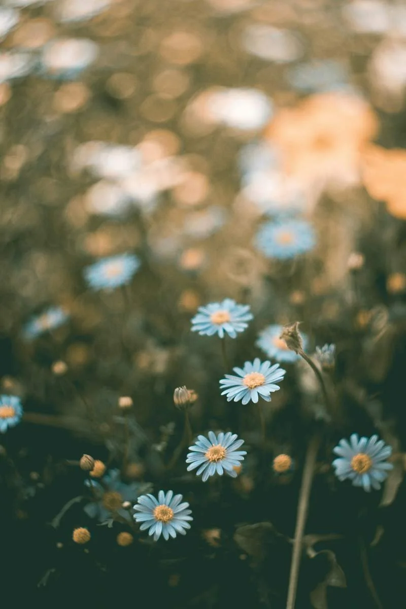 Summer Depression: When the Sunshine Doesn't Help