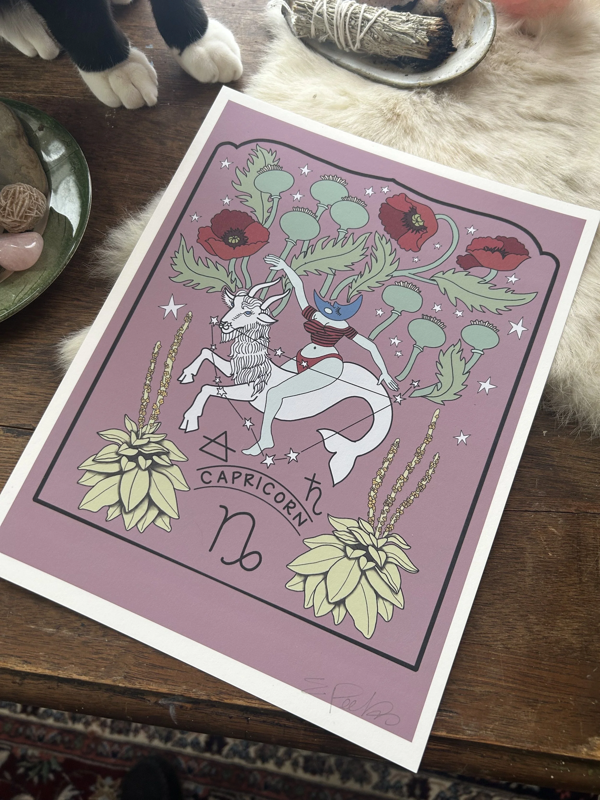 Capricorn 8.5 X 11" Print