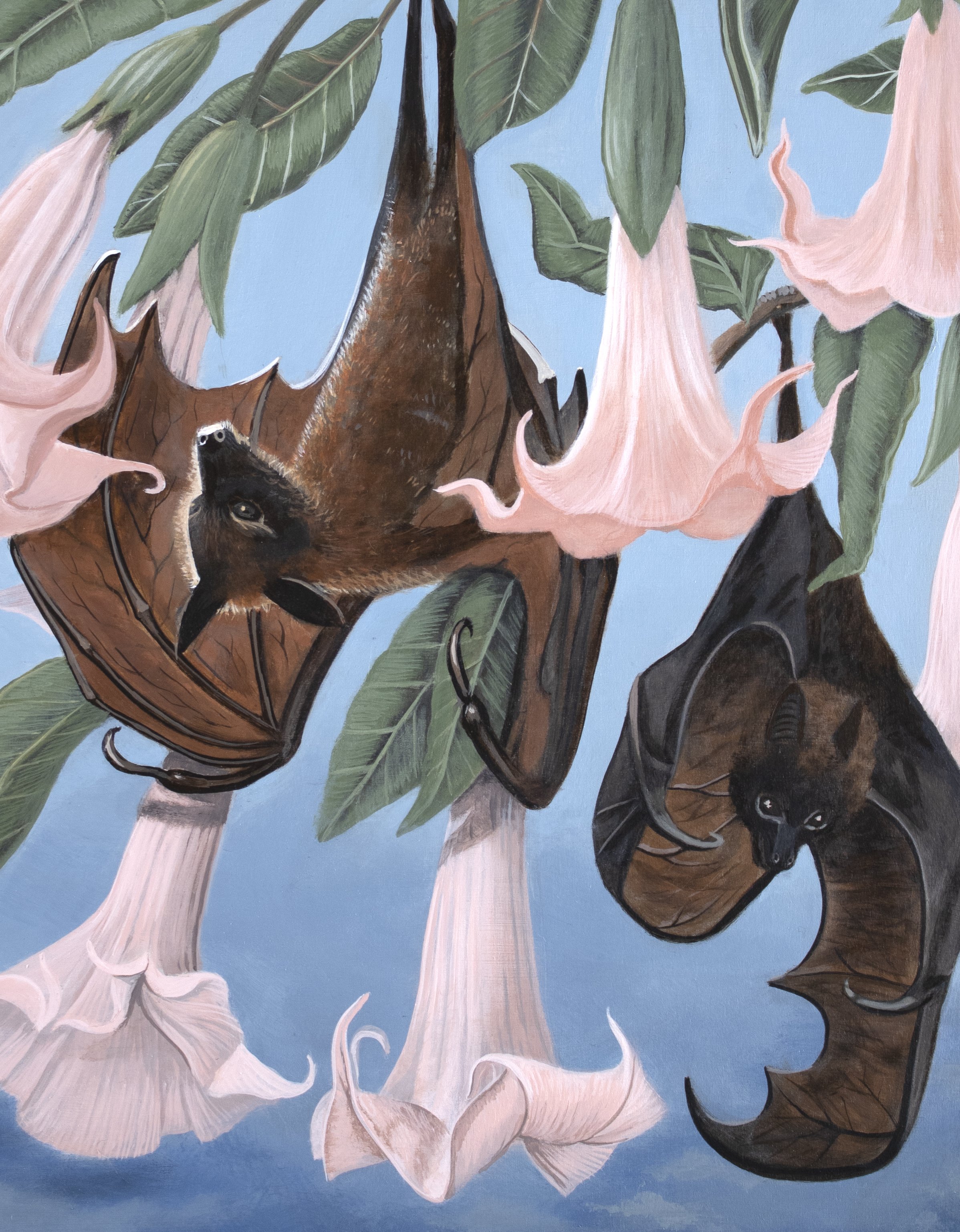 batsandbrugmansia_detail_1.jpg