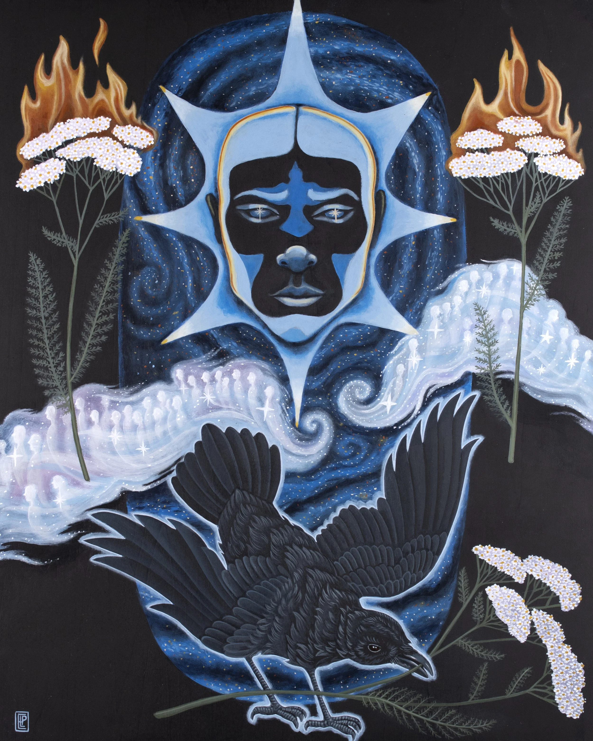 Yarrow: Achillea millefolium 