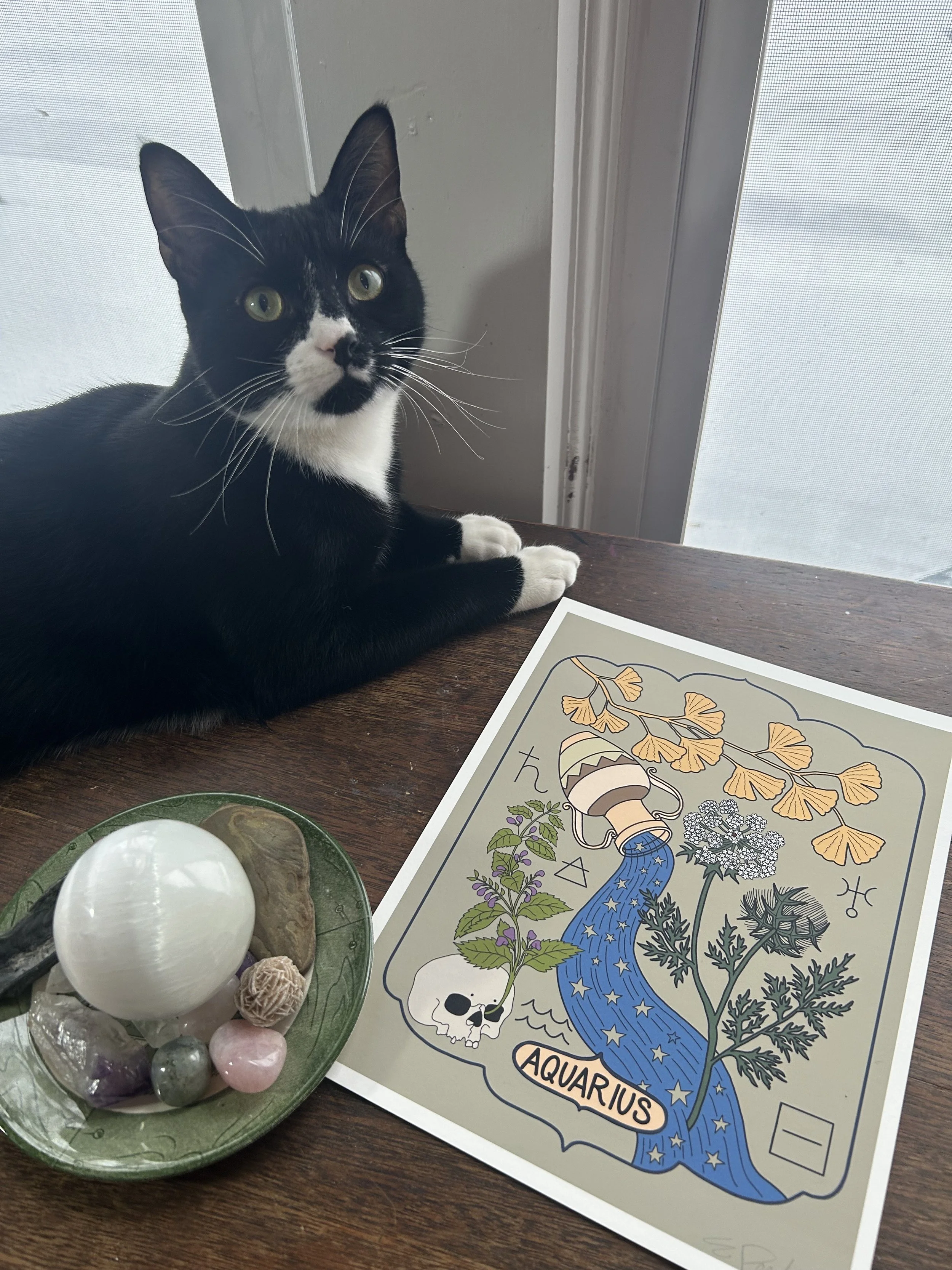 Aquarius 8.5 X 11" Print