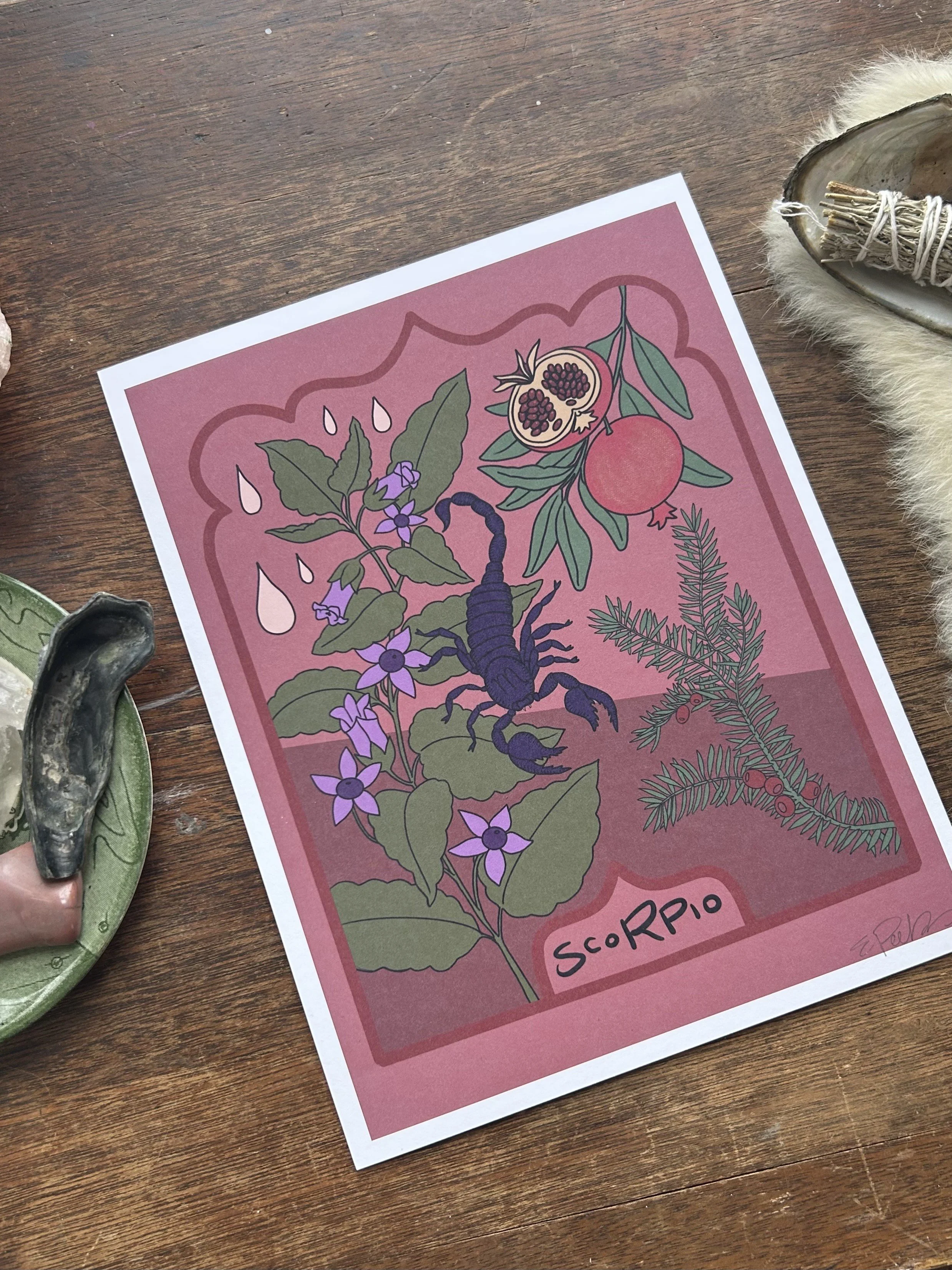 Scorpio 8.5 X 11" Print