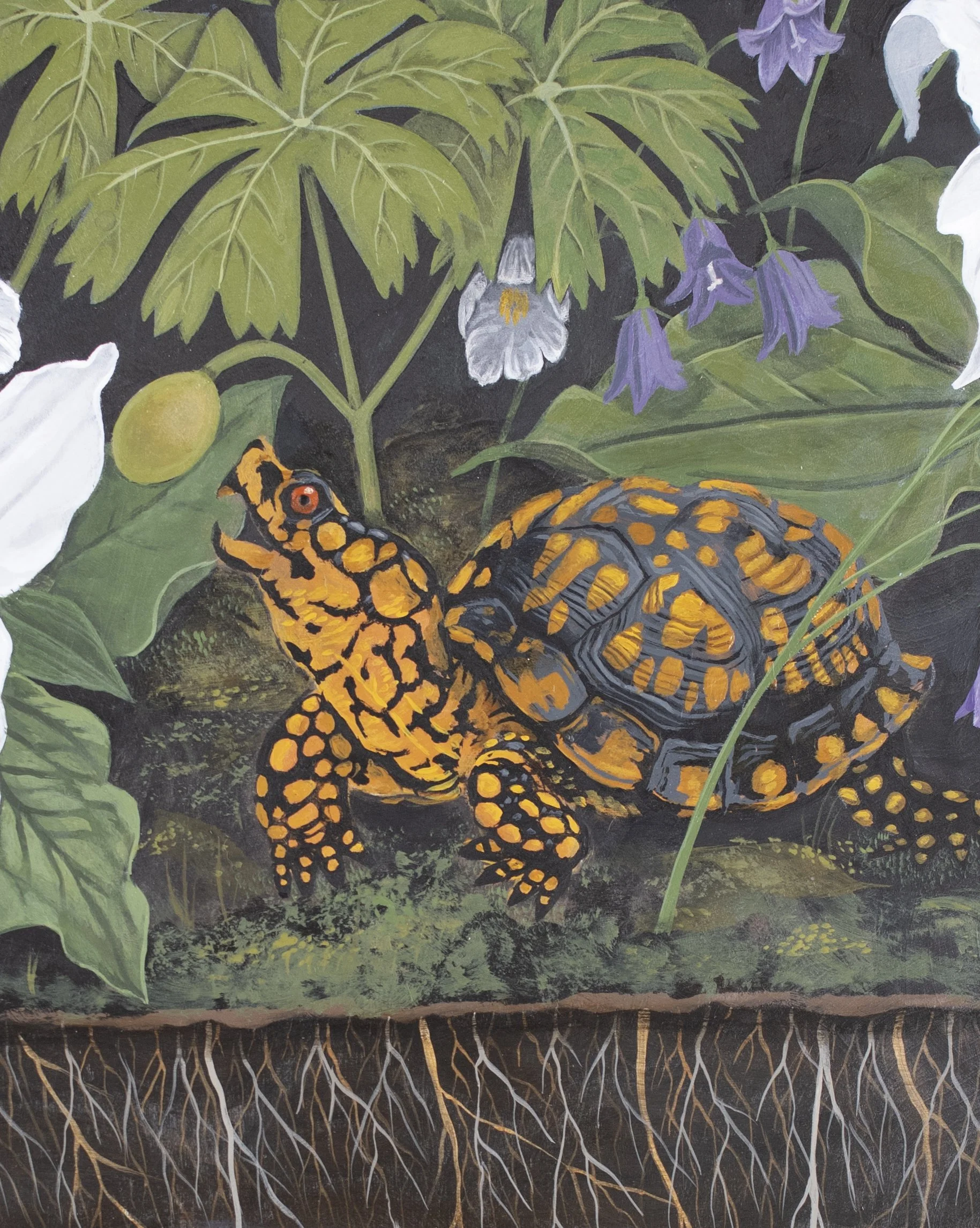 orangeturtle_detail1.jpg