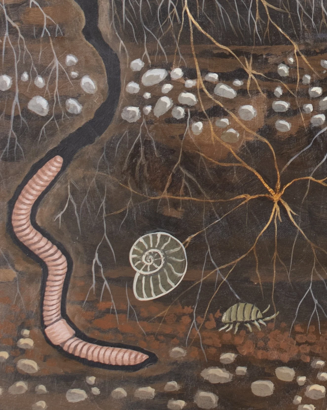 orangeturtle_detail2.jpg