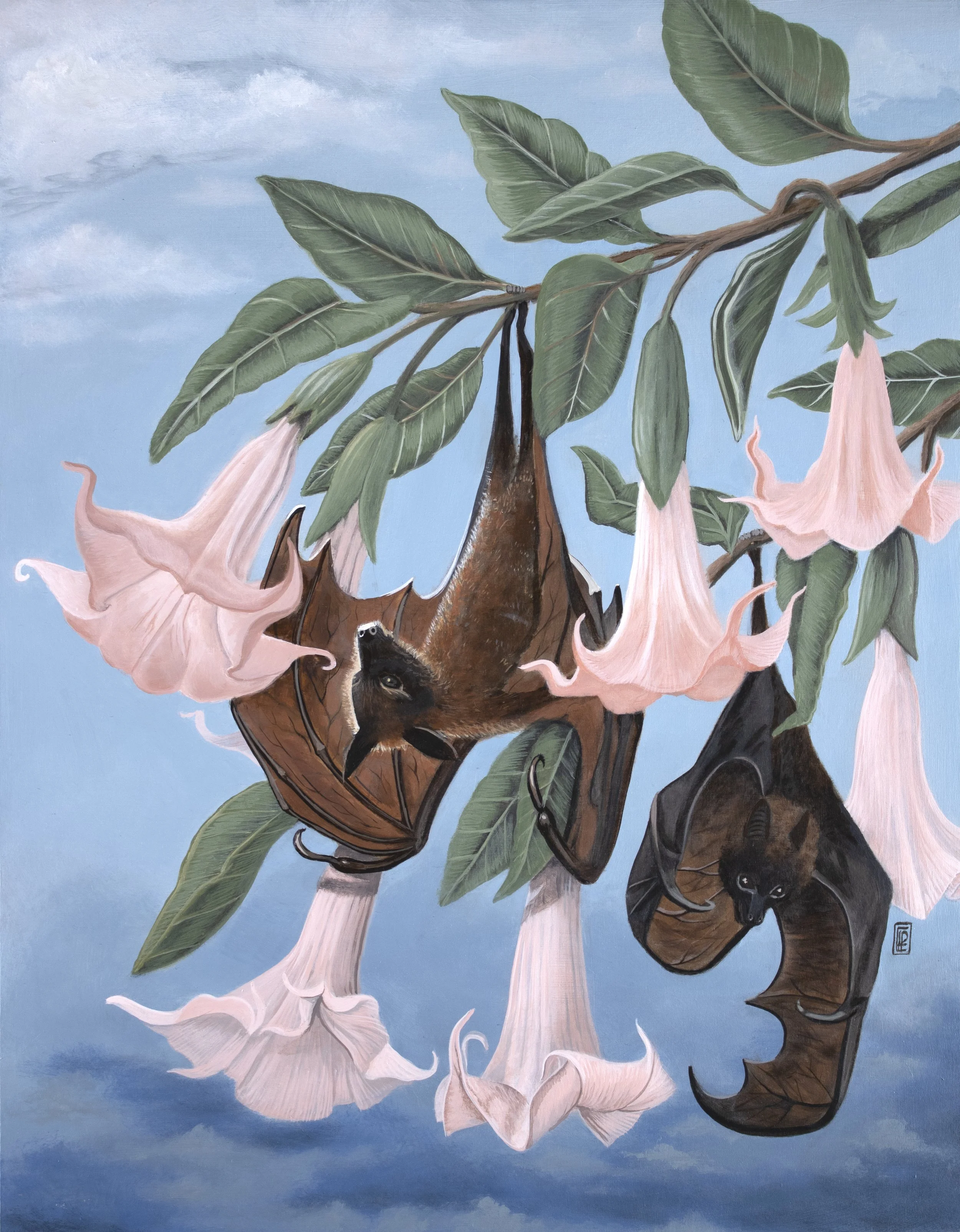 batsandbrugmansia.jpg