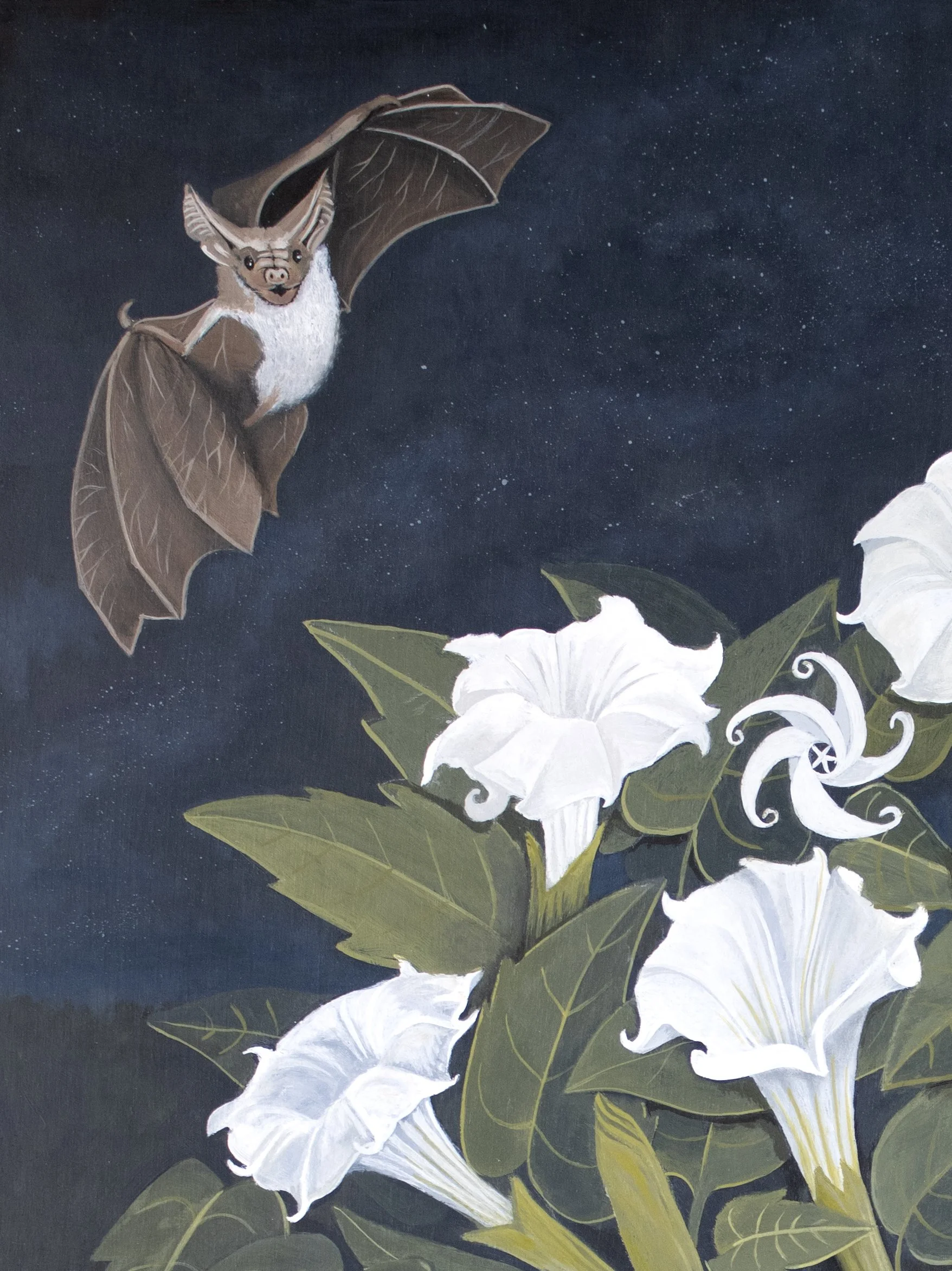 afterdark_detail3.jpg