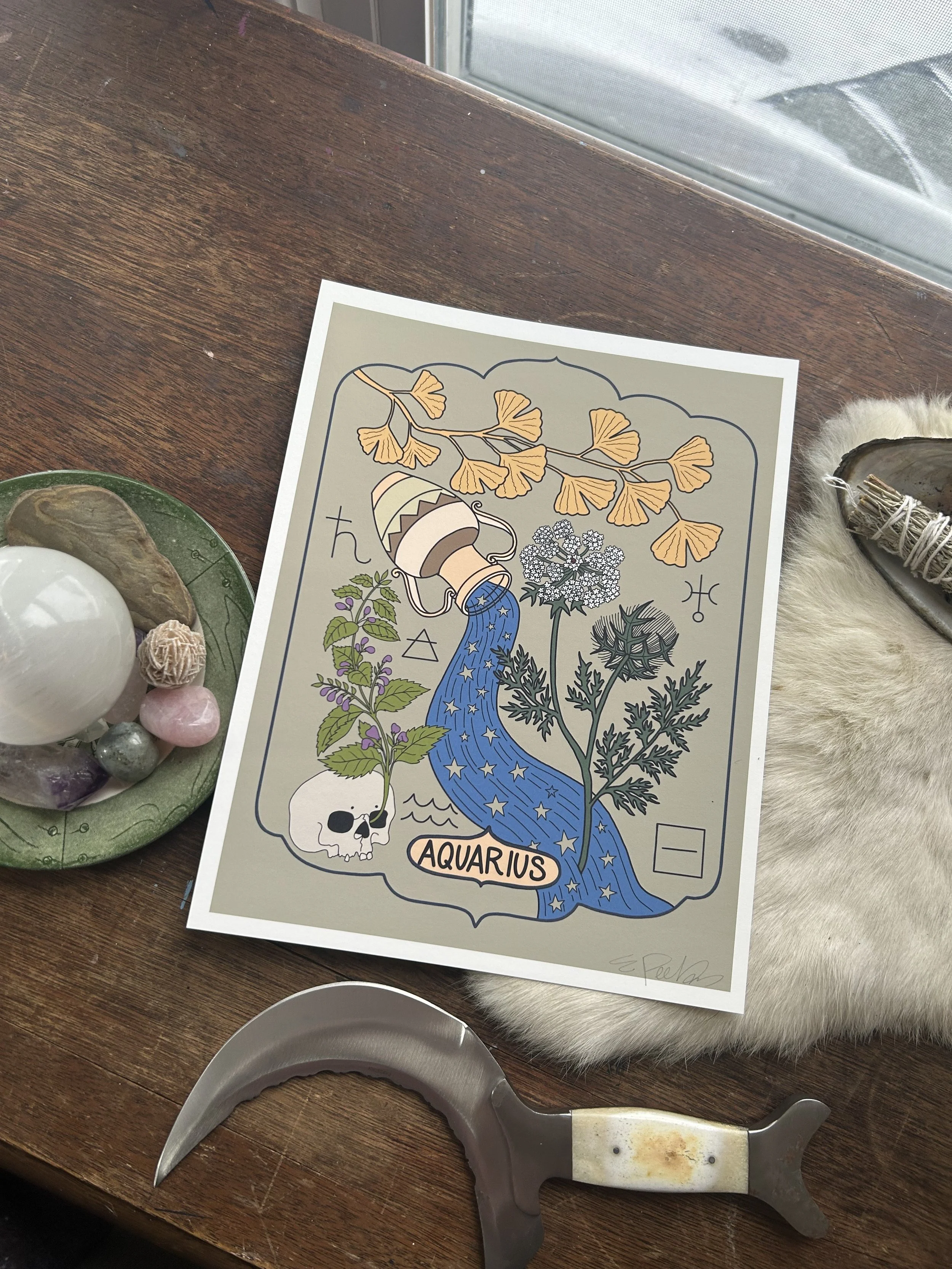 aquarius_print.jpeg