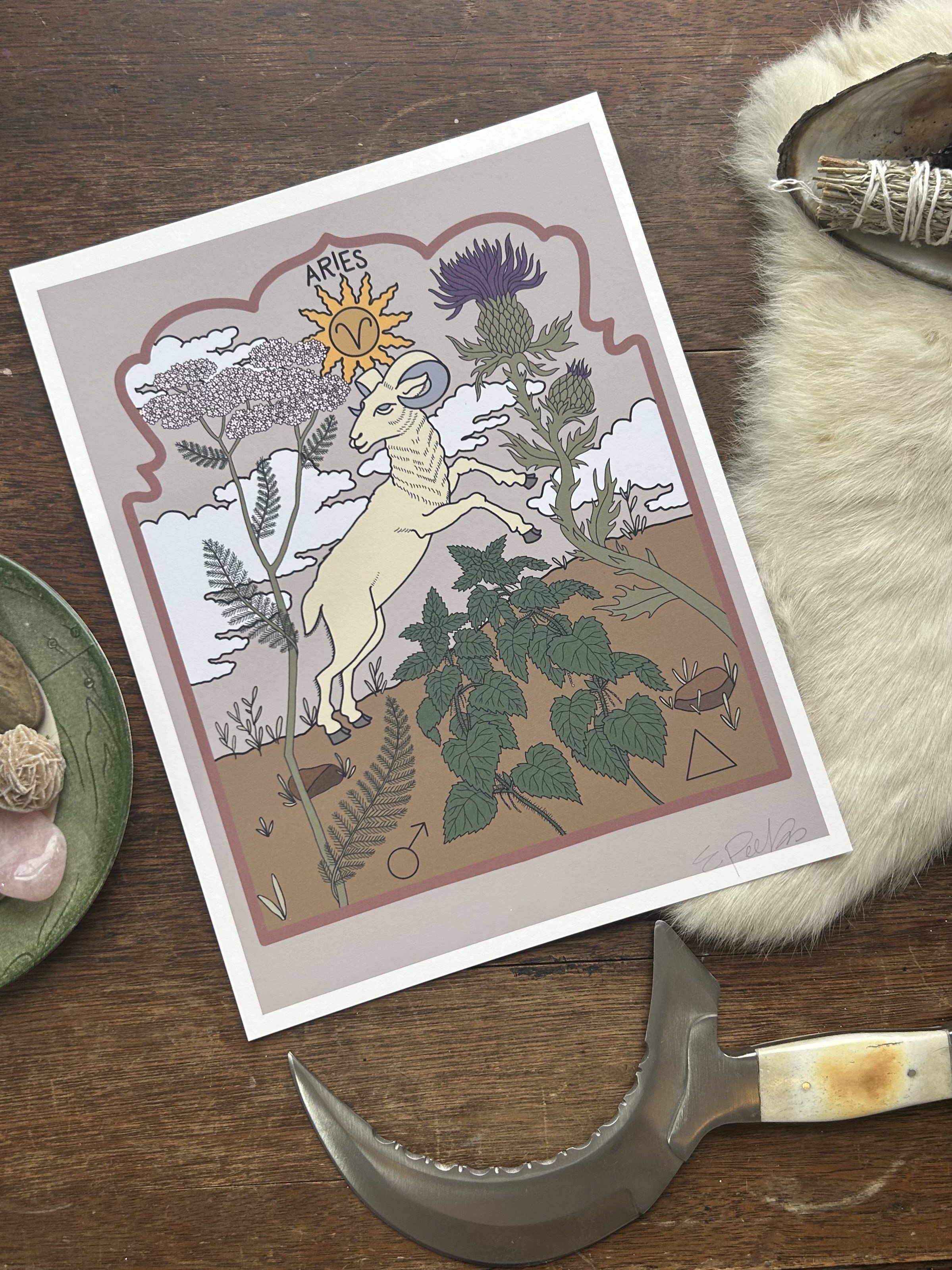 Aries  8.5 X 11" Print