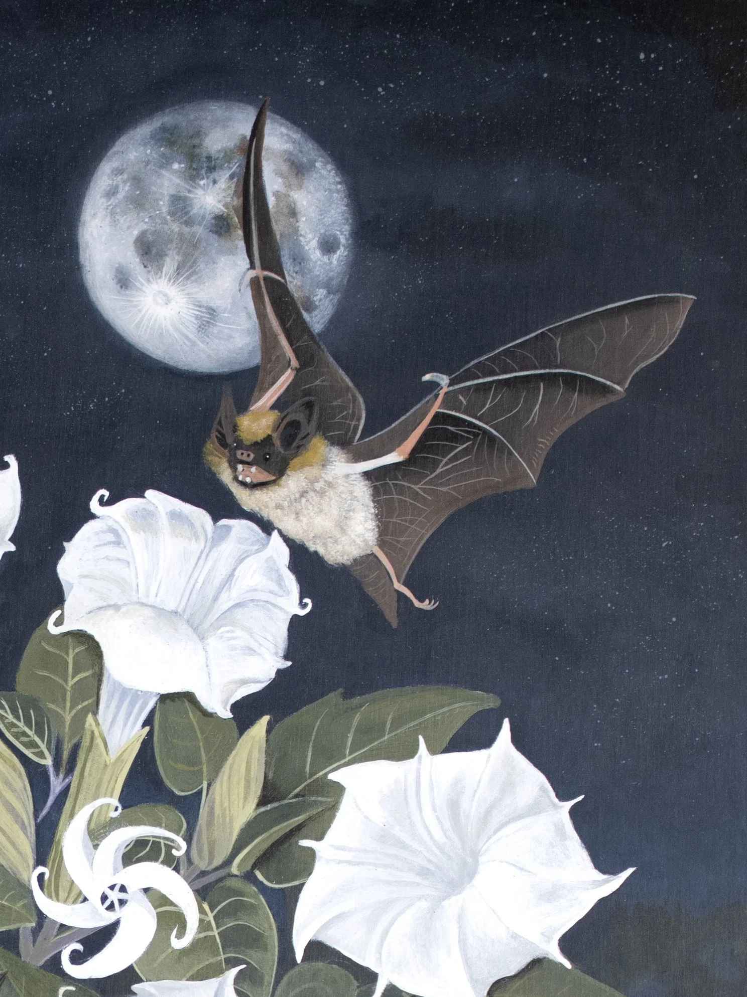 afterdark_detail2.jpg