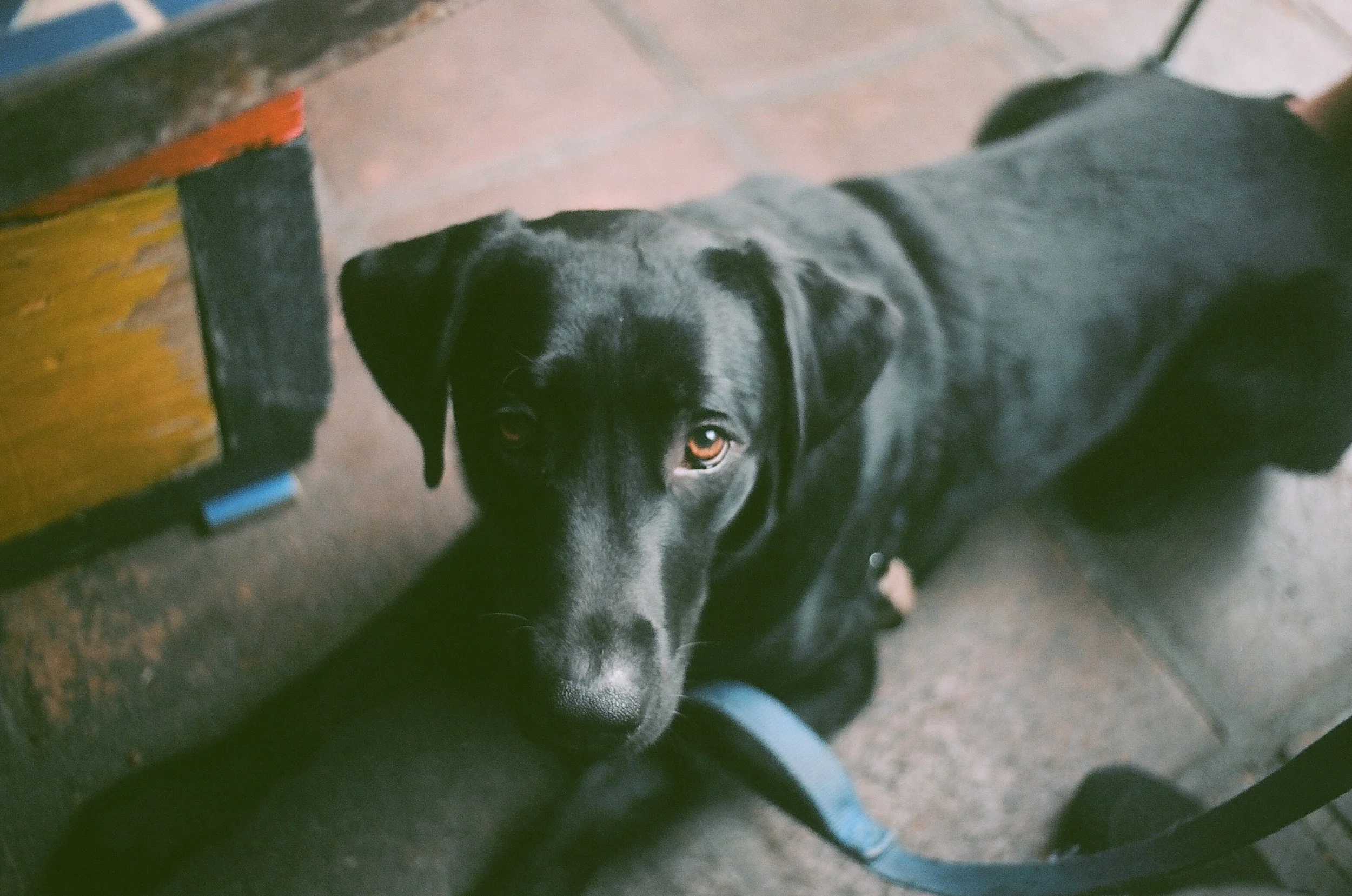 PENNY_STORE_FEB'22 copy.jpg