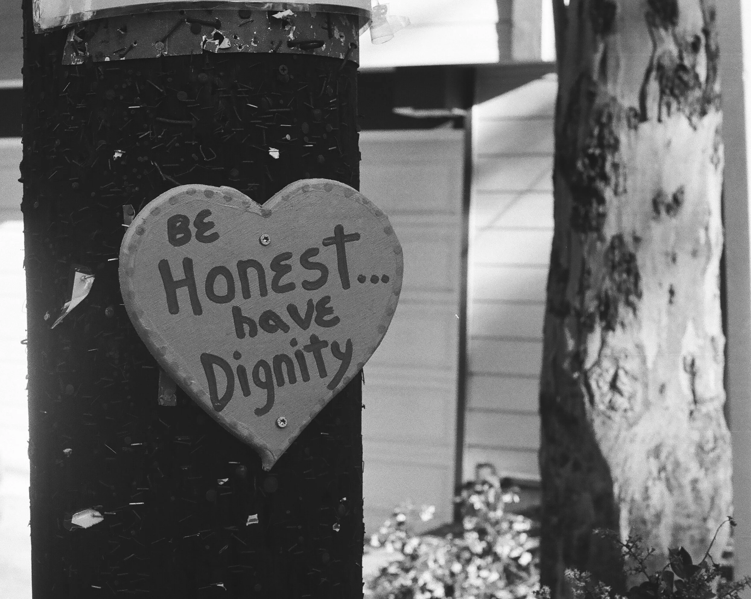 CANYON_DIGNITY_5_30_22 copy.jpg