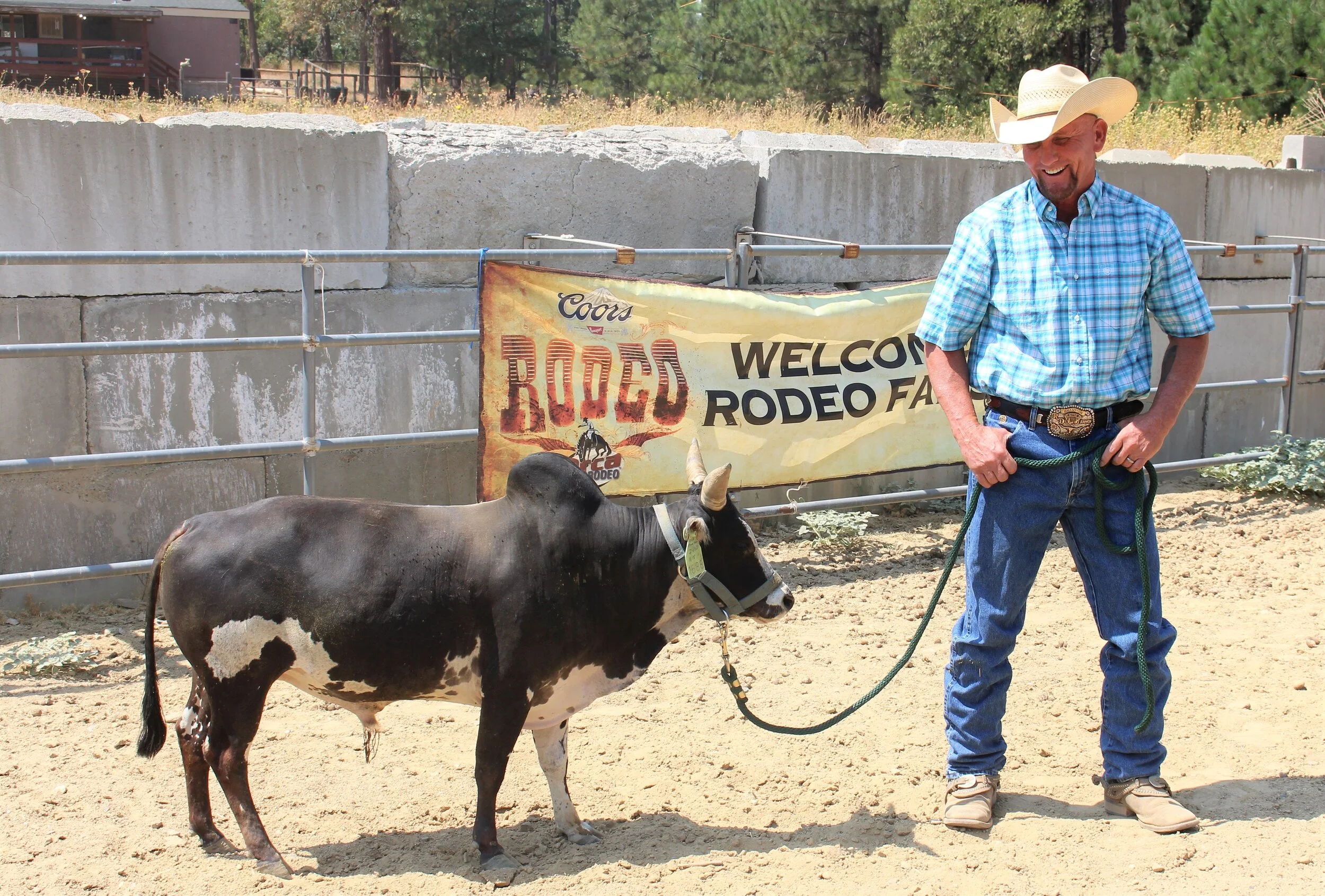 Micro Mini Bulls