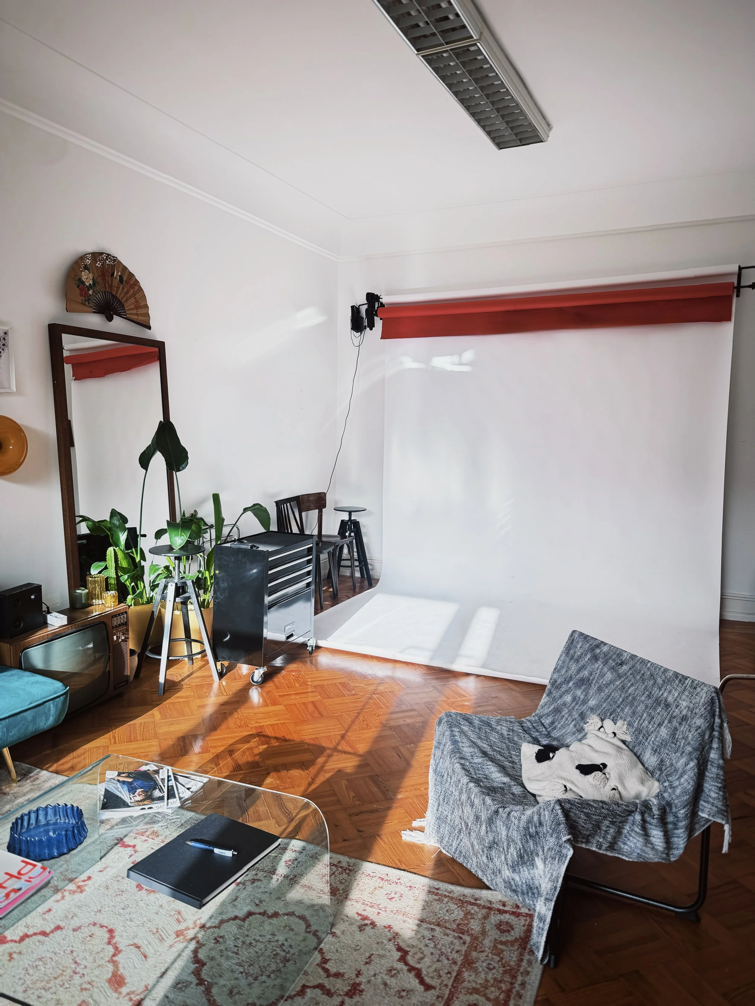 A photography studio with a white background, a few chairs, a mirror, a plant, and a patterned carpet.