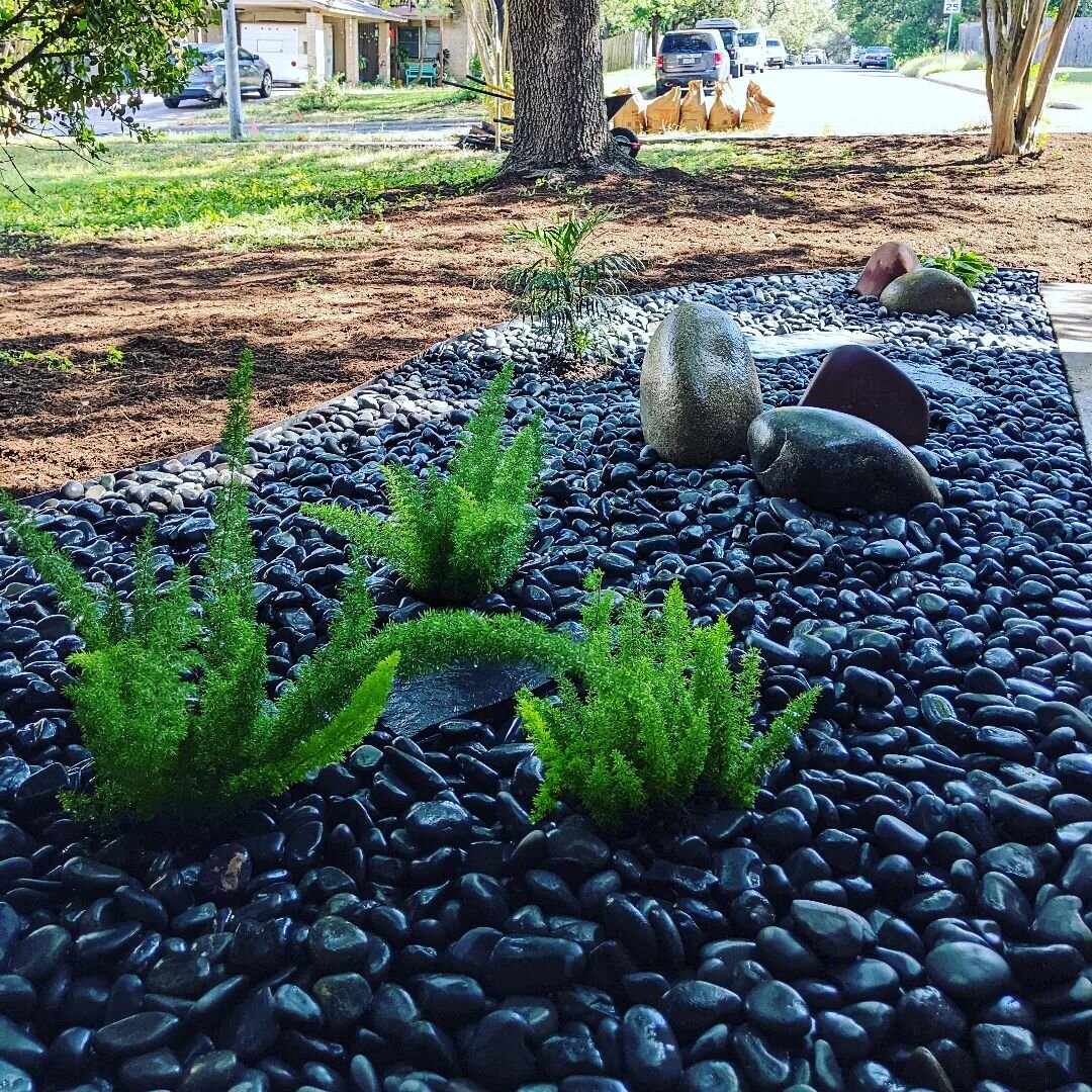 Dry creek rock bed. No more messy entryway!

#landscapedesign #landscapeinstallation #drycreekbed #mexicanbeachpebbles #foxtailfern #beautifulyard #austintx #austinplants @austinplantsupply
