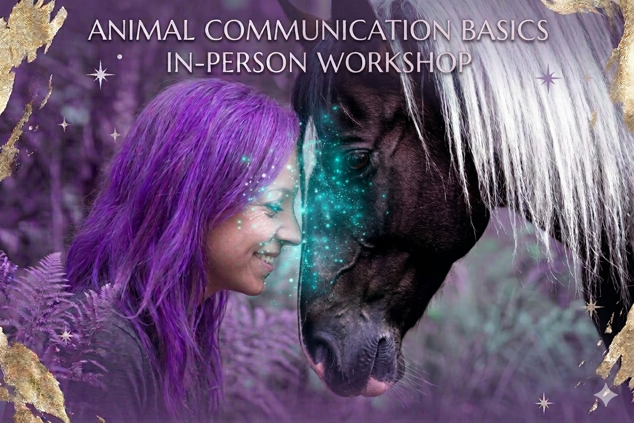 Animal Communication Basics: In-person Workshop