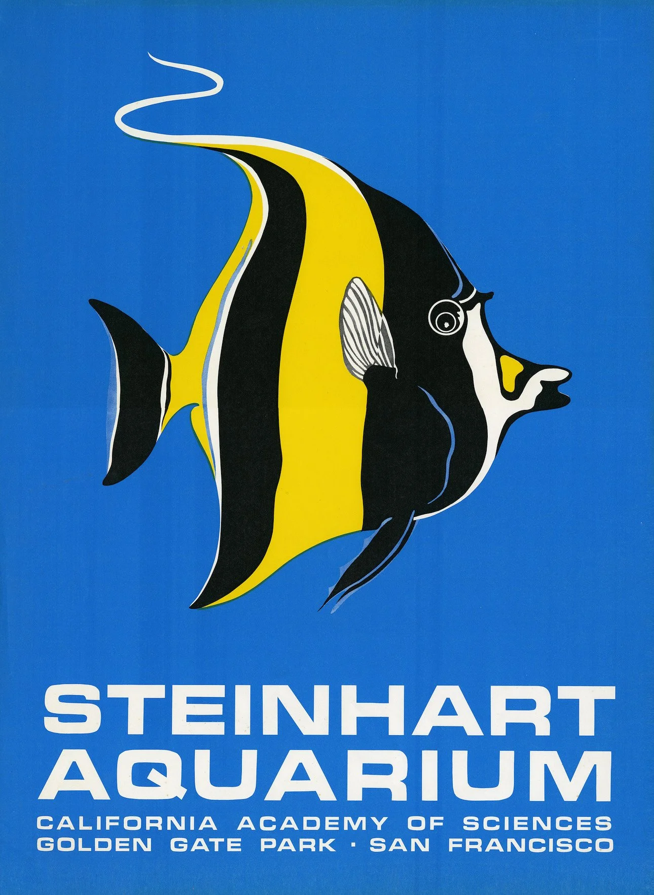 Steinhart Logo.jpg