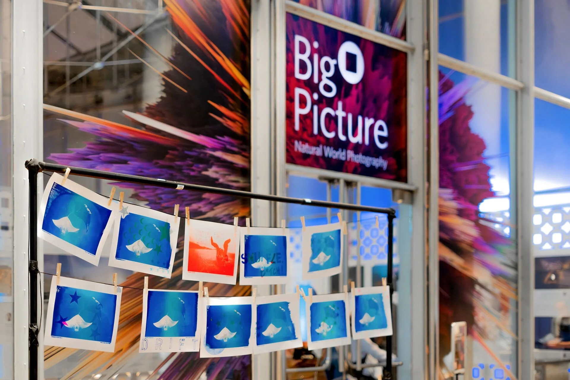 WEB_PRES-BigPictureNightLife_DSC01102_NR_CAS.jpg