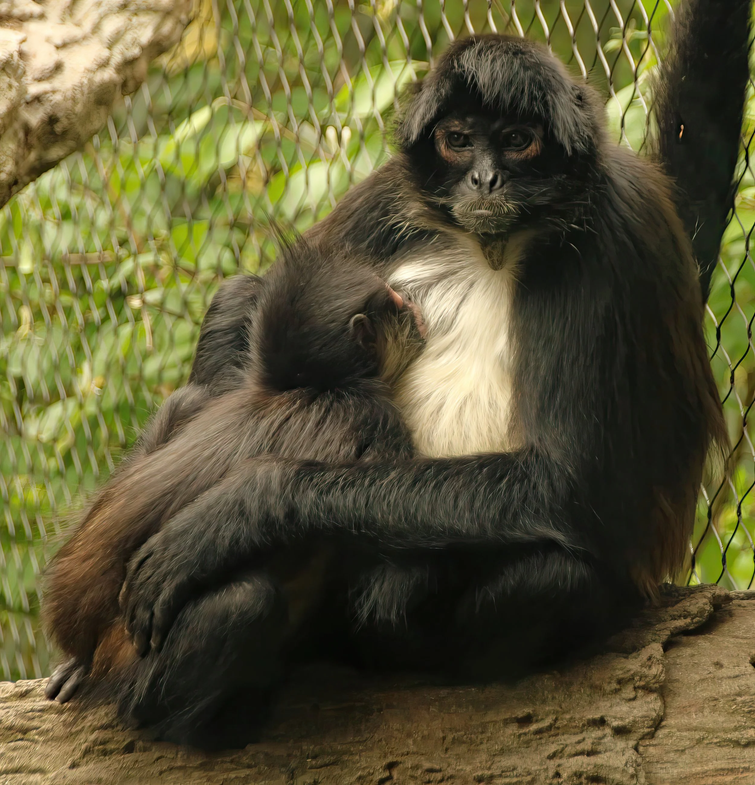 IMG_8665 1-gigapixel-very_compressed-scale-2_00x.jpg