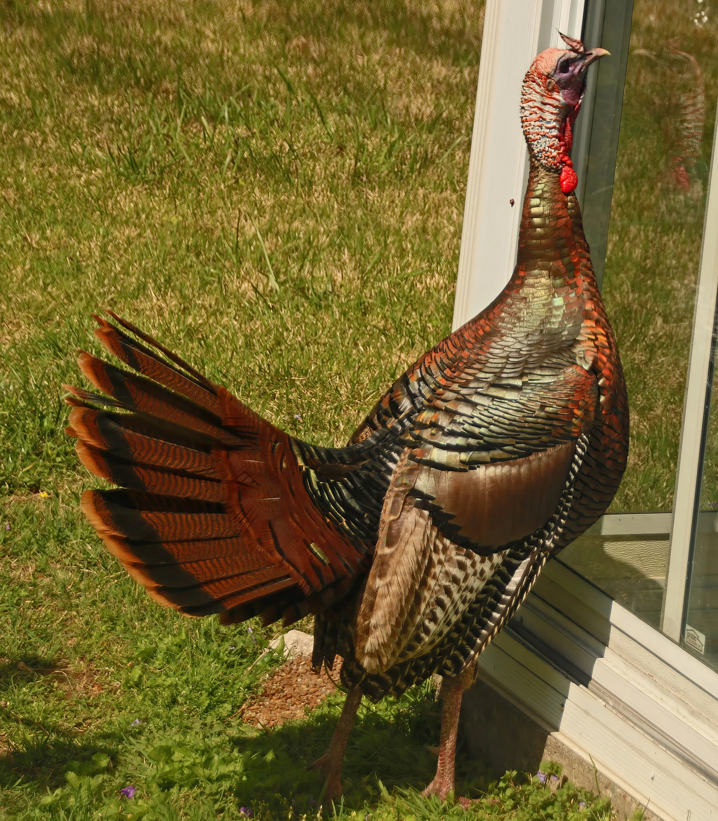 IMG_8392 1-gigapixel-art-scale-2_00x.jpg