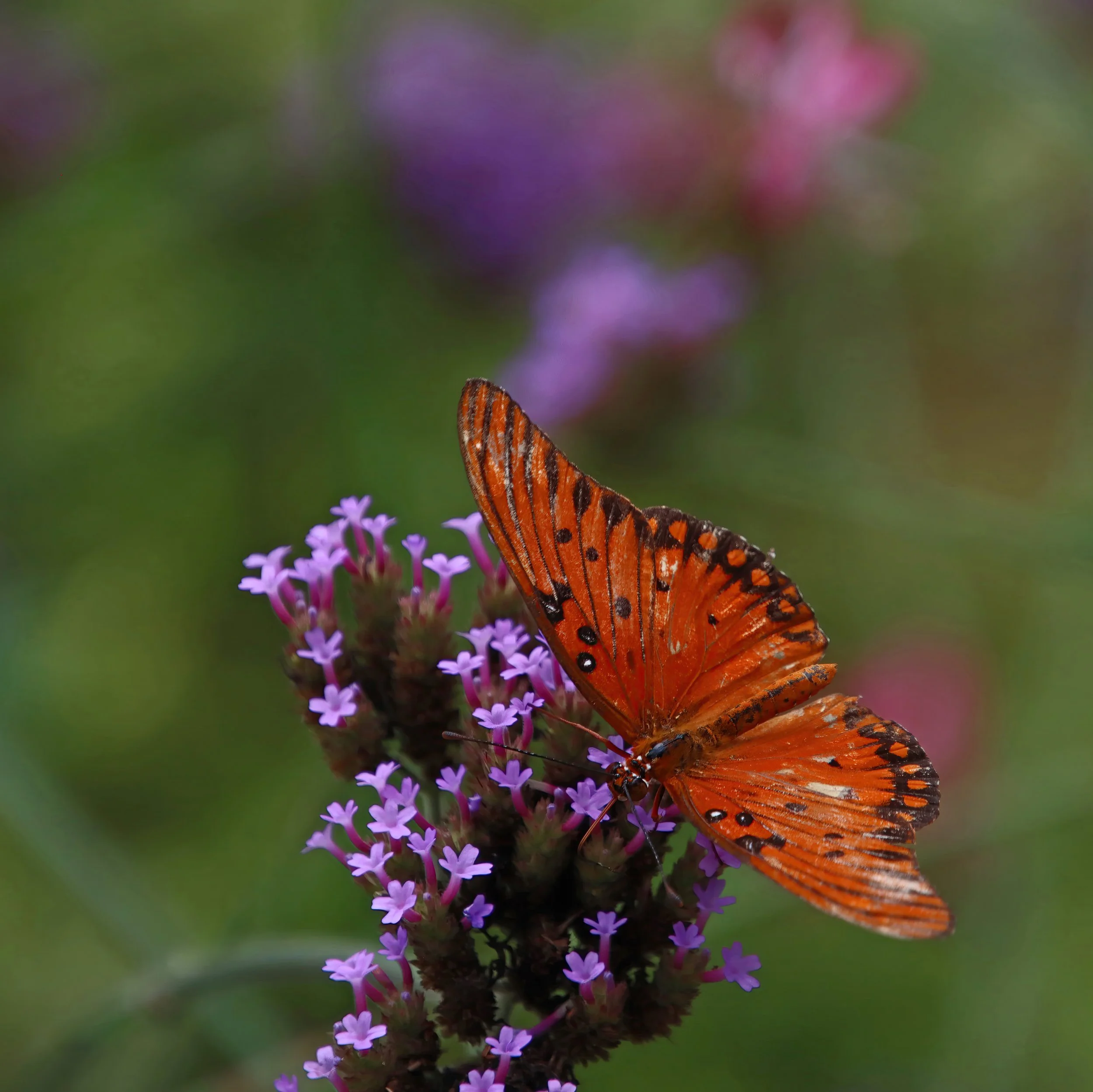 IMG_3609 1-gigapixel-art-scale-1_00x.jpg