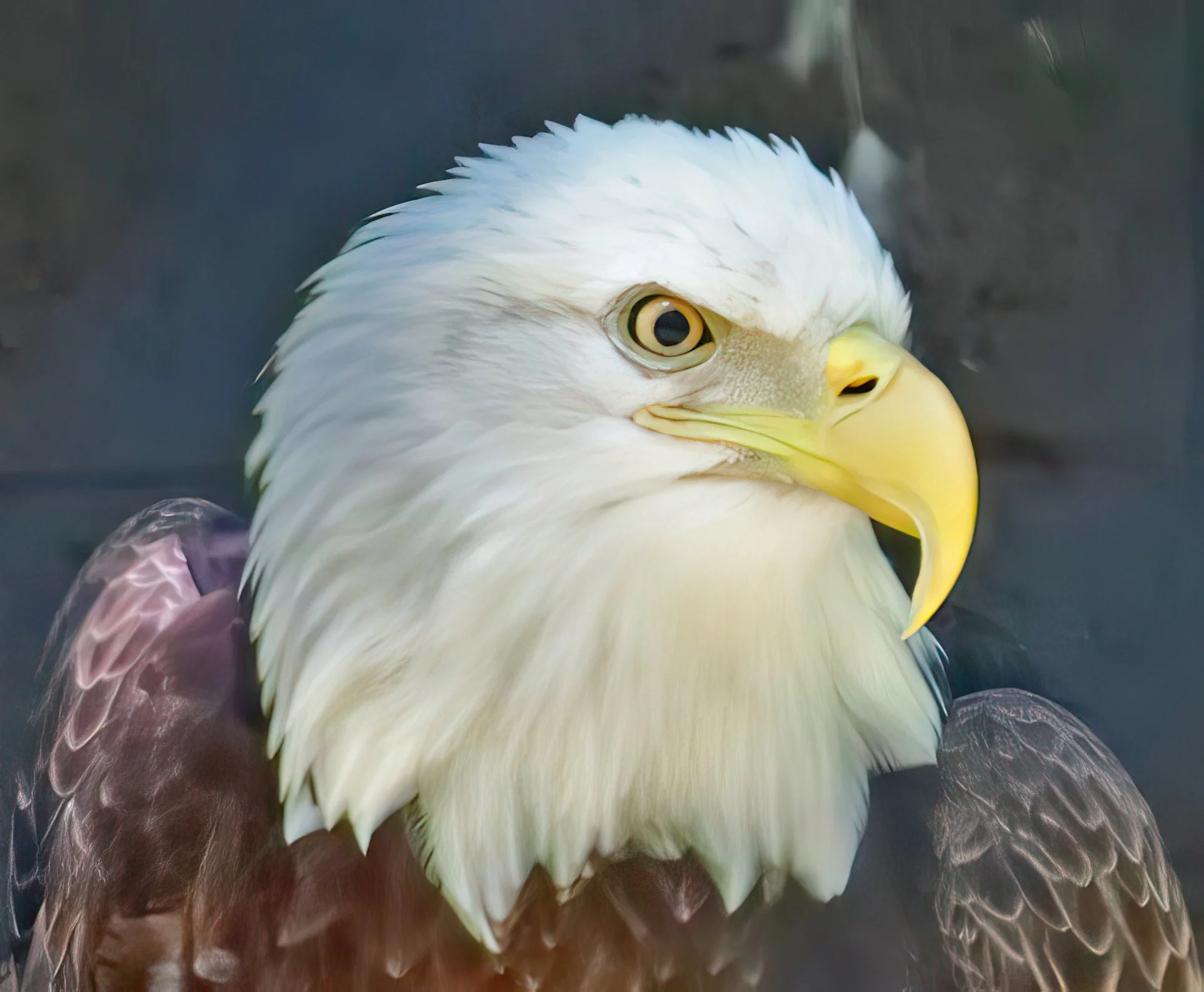 IMG_0929 2-gigapixel-very_compressed-scale-2_00x.jpg