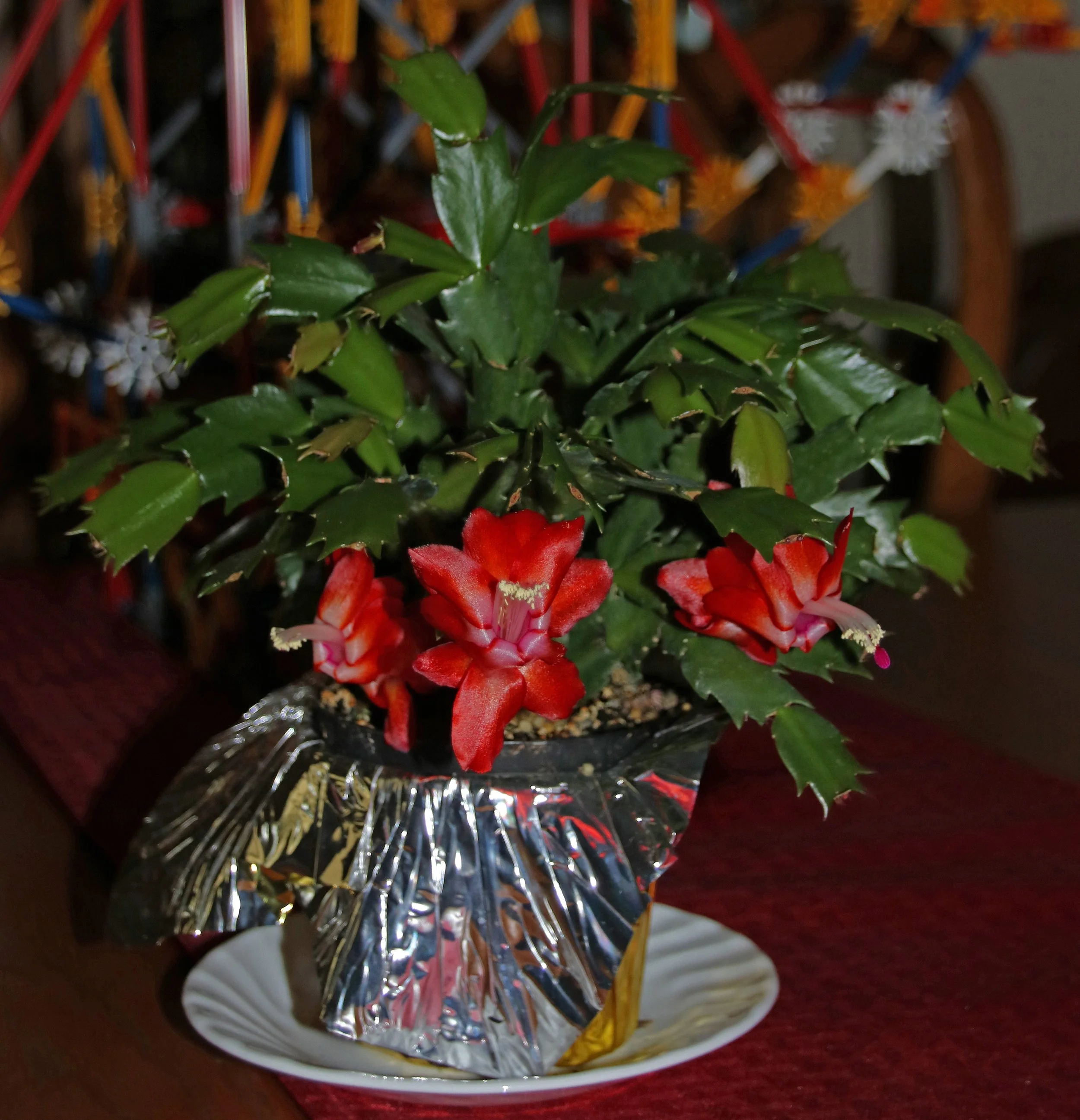IMG_8415 1.jpg