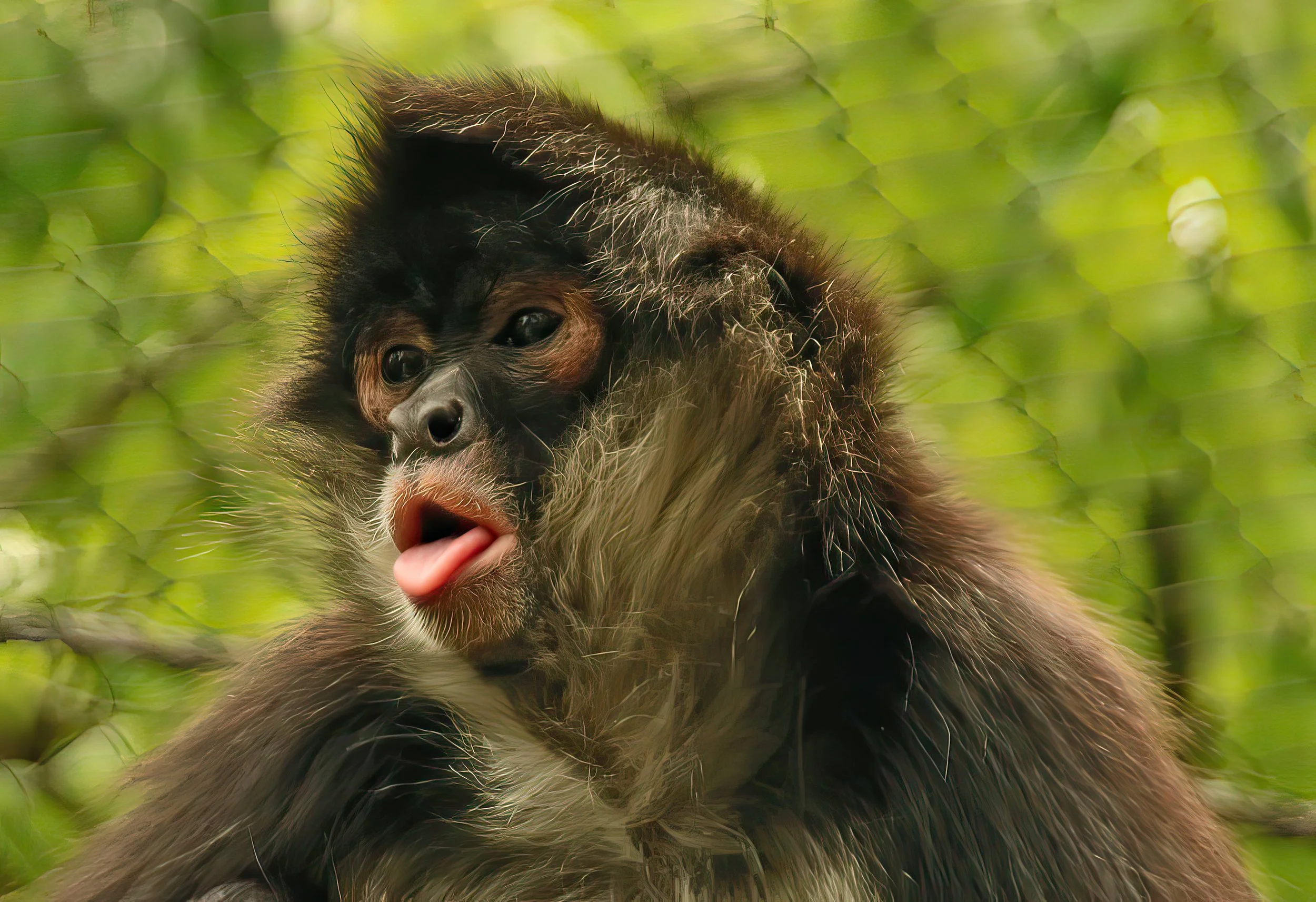 IMG_8646 1-gigapixel-very_compressed-scale-2_00x.jpg