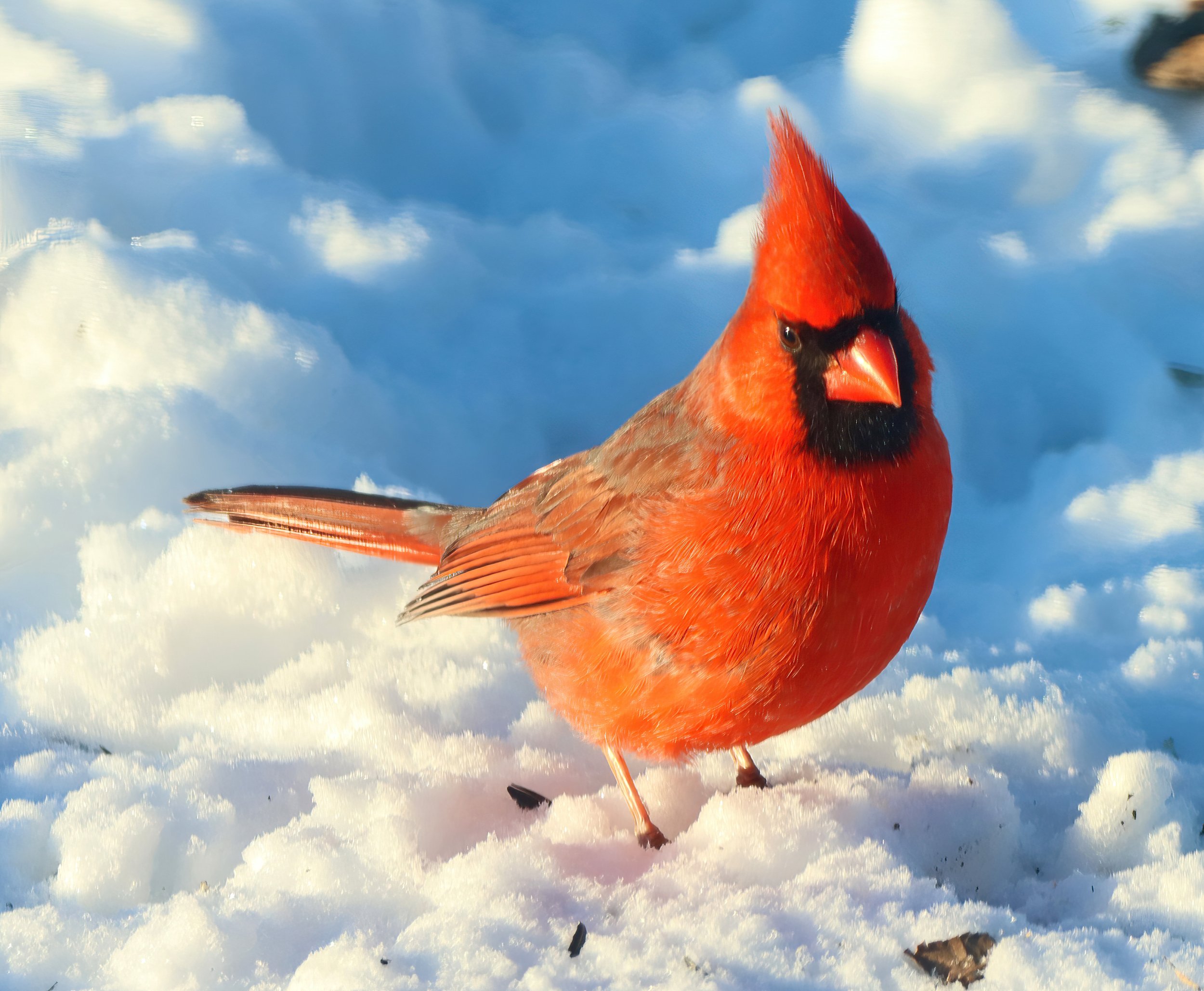 IMG_7258 1-SharpenAI-Focus.jpg