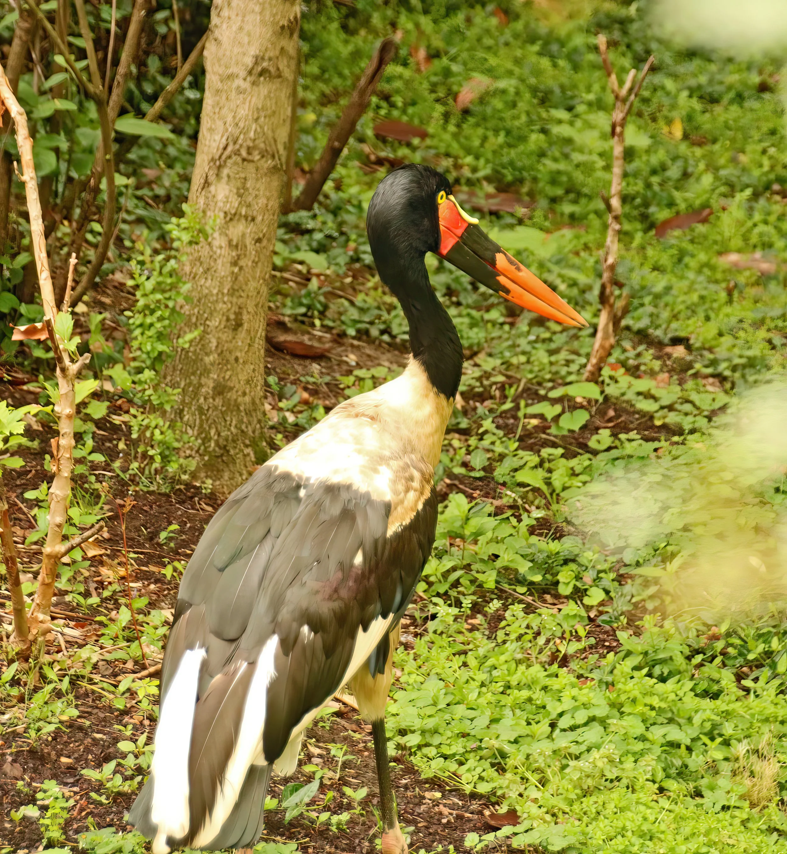 IMG_8510 1-gigapixel-very_compressed-scale-2_00x.jpg