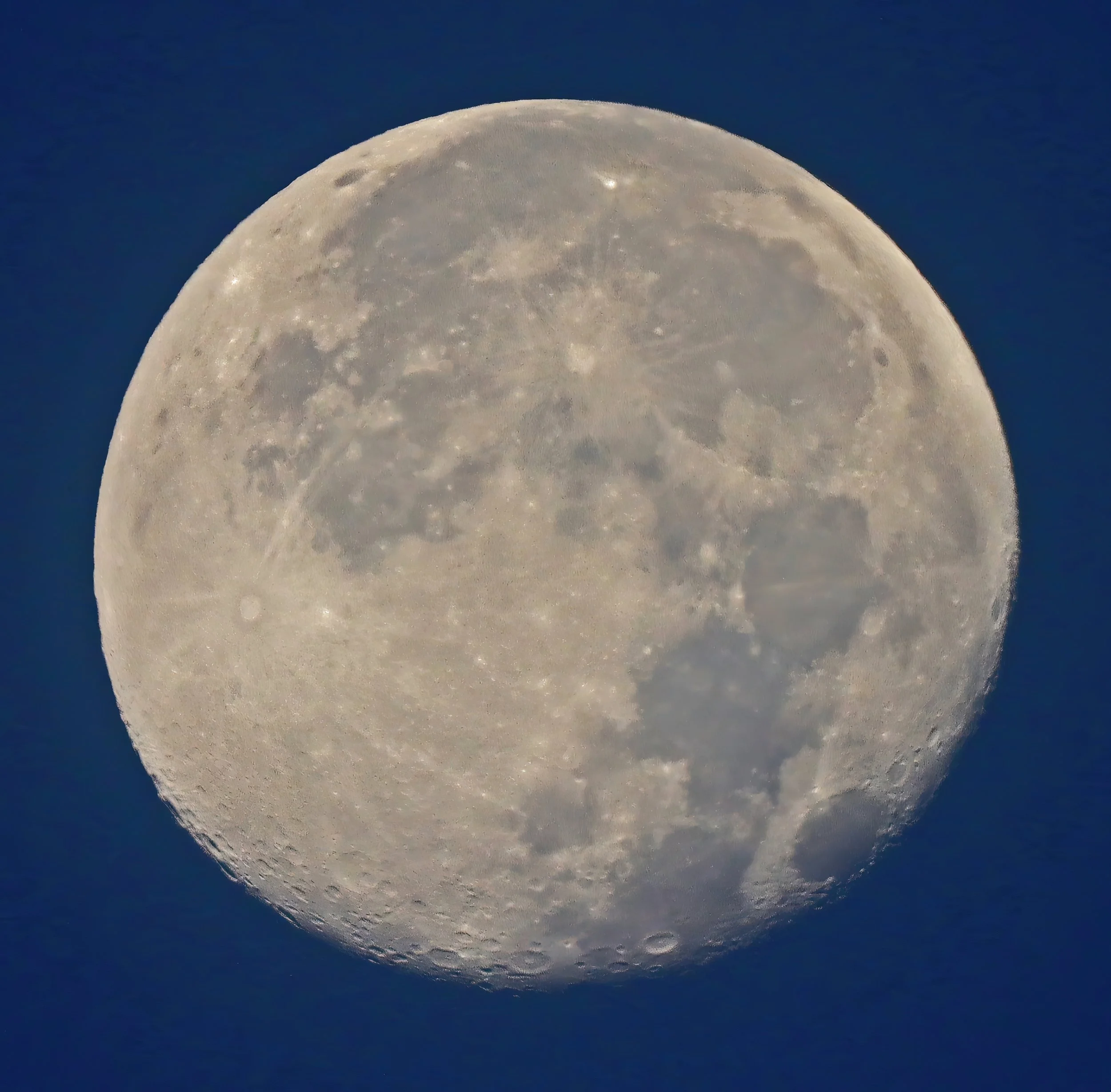 IMG_9665 1-gigapixel-art-scale-2_00x-DeNoiseAI-severe-noise.jpg