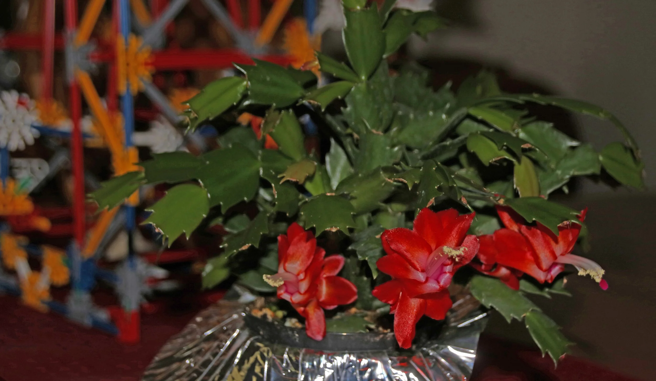 IMG_8425 1.jpg