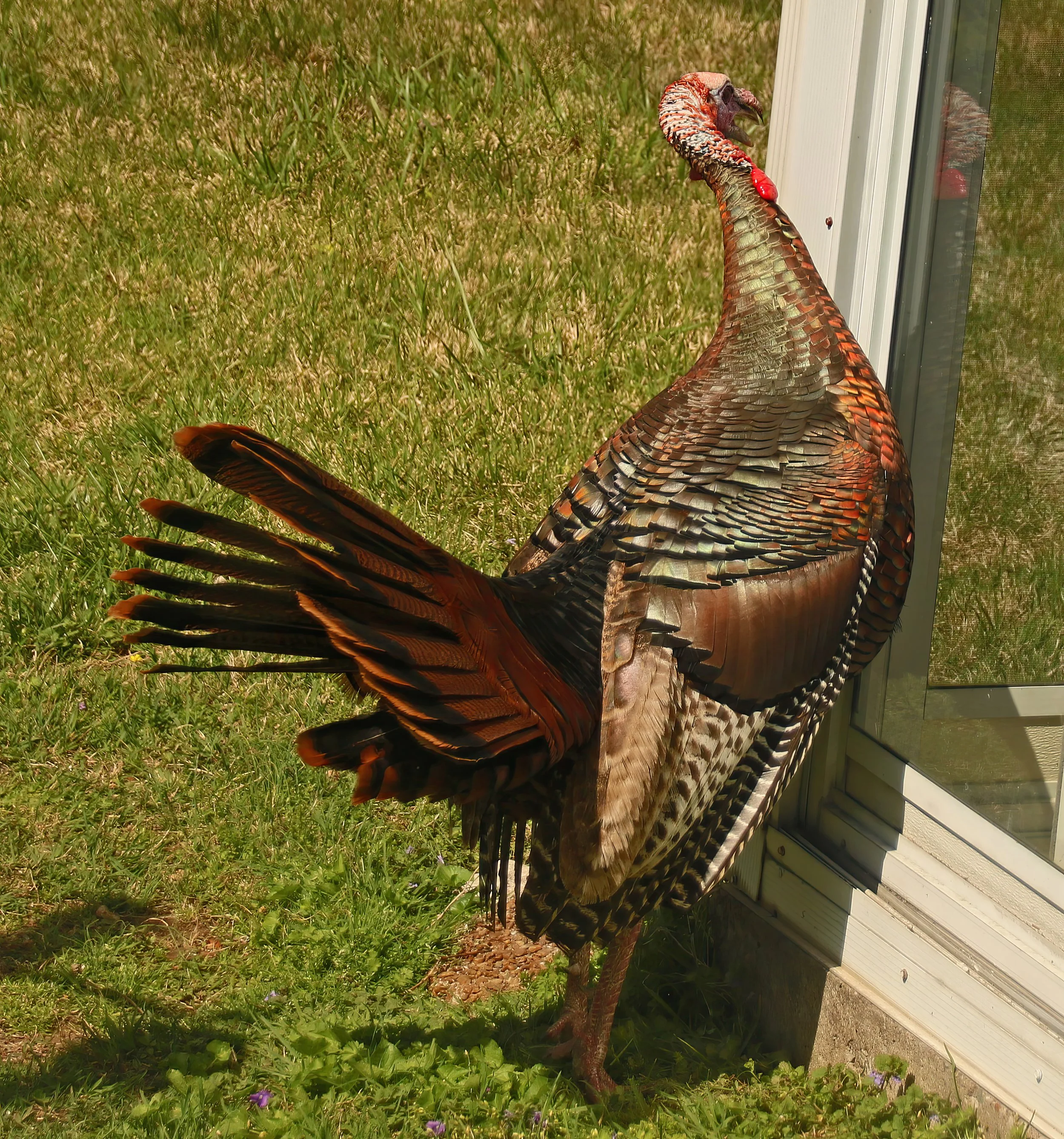 IMG_8394 1-gigapixel-art-scale-2_00x.jpg