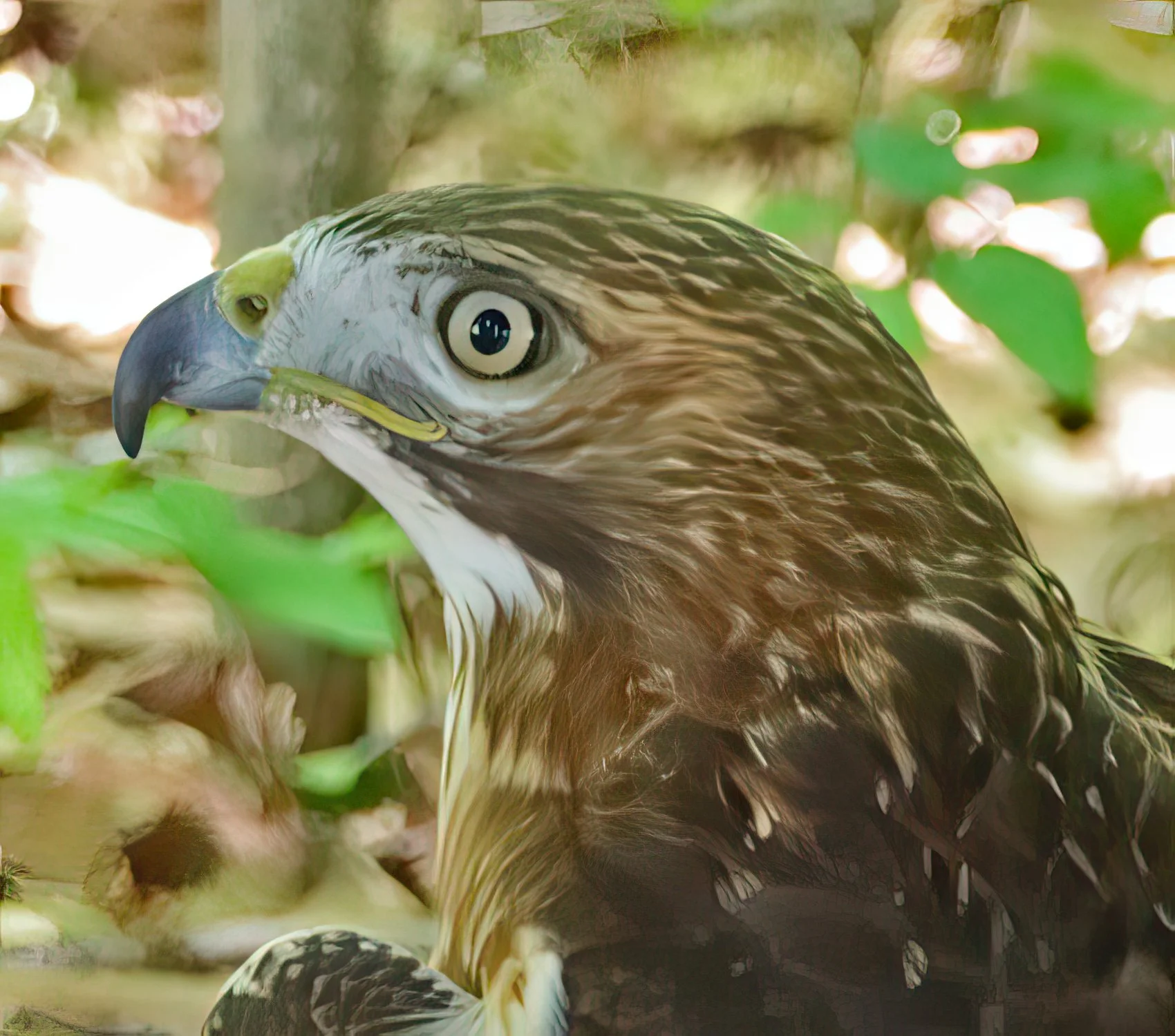 IMG_0868 2-gigapixel-very_compressed-scale-2_00x.jpg