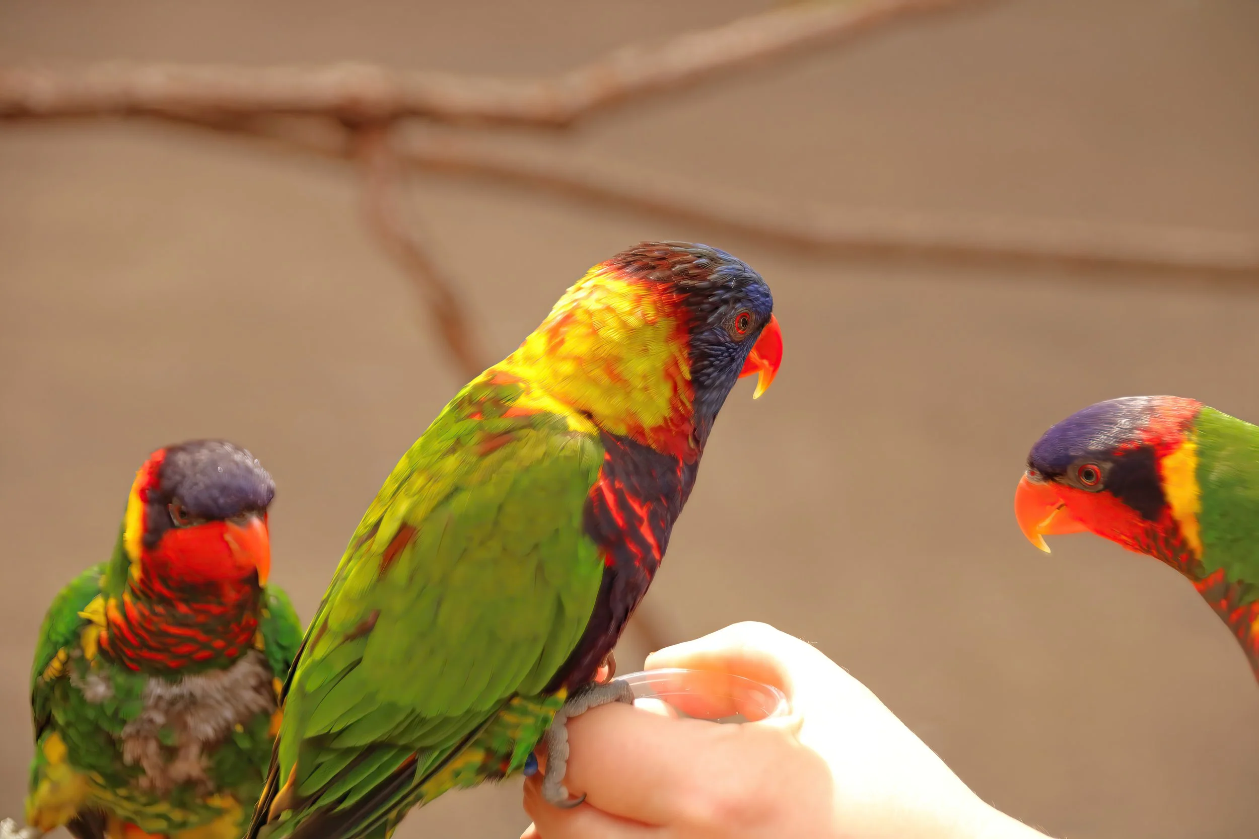 IMG_8751 1-gigapixel-very_compressed-scale-2_00x.jpg