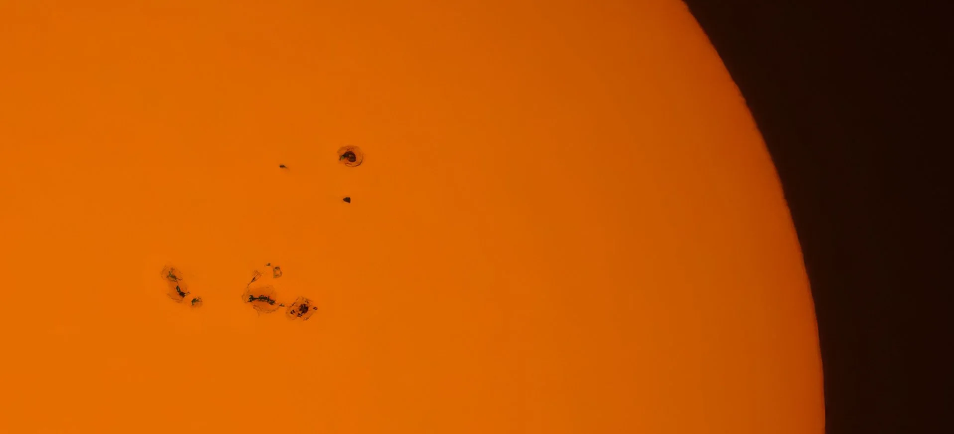 IMG_9675 1-topaz-denoise-enhance-sharpen 1.jpg