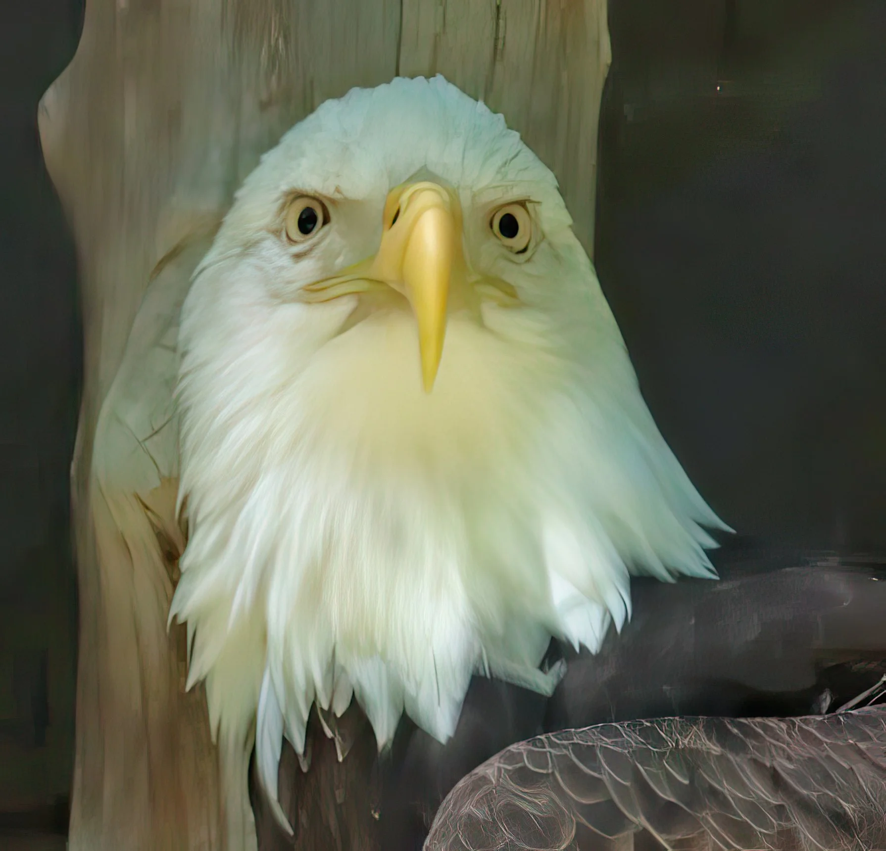 IMG_0919 2-gigapixel-very_compressed-scale-2_00x.jpg