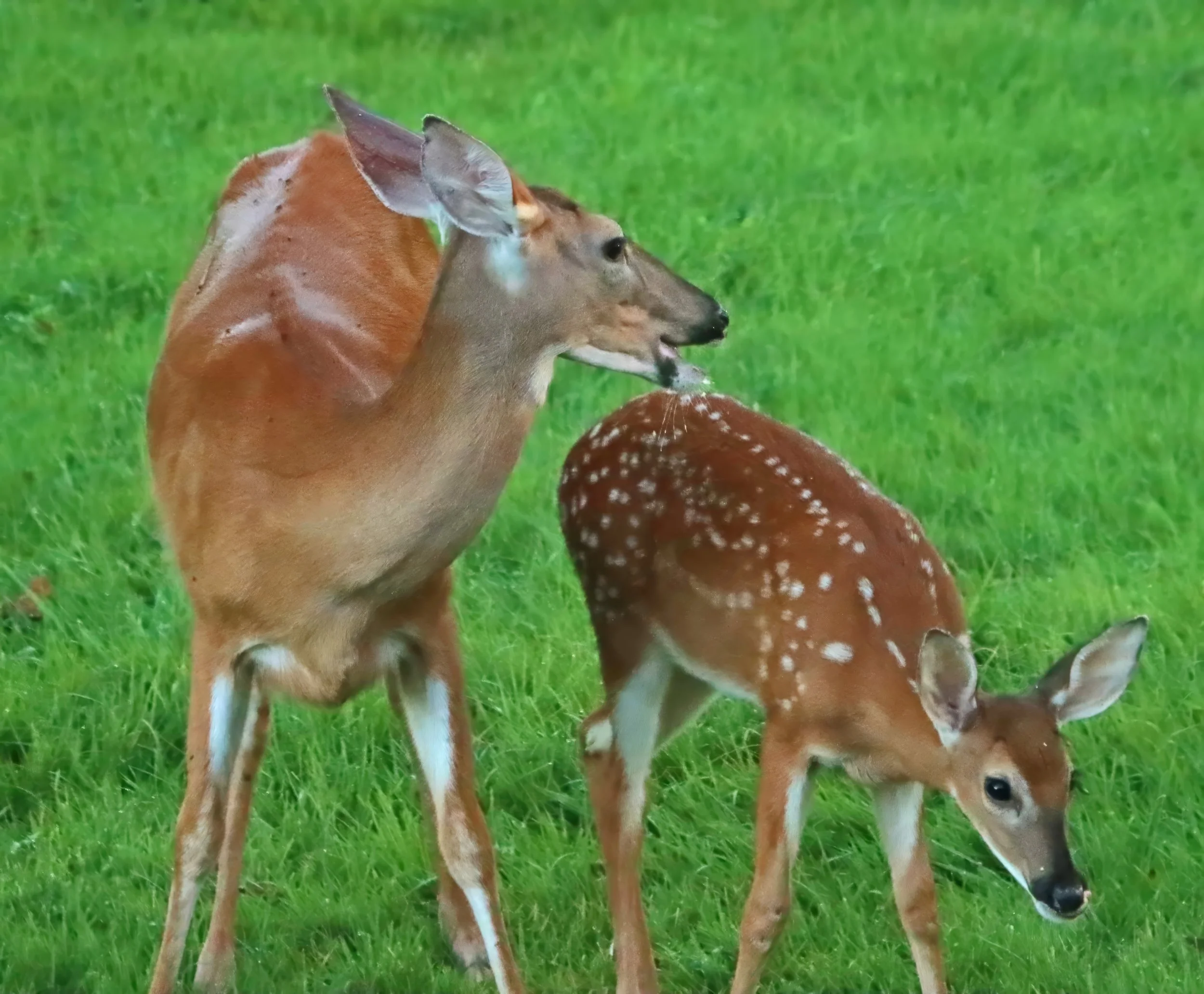 IMG_4687 1-topaz-denoise-enhance-2x.jpg