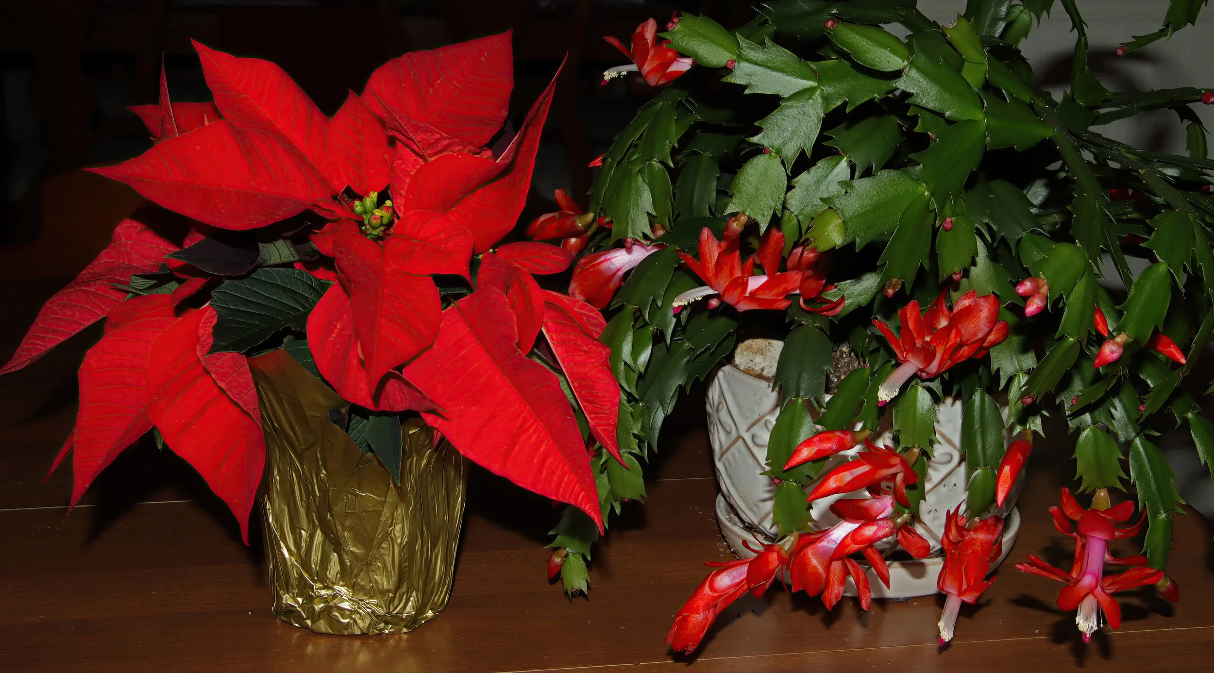 IMG_6686 2-gigapixel-art-scale-1_00x.jpg