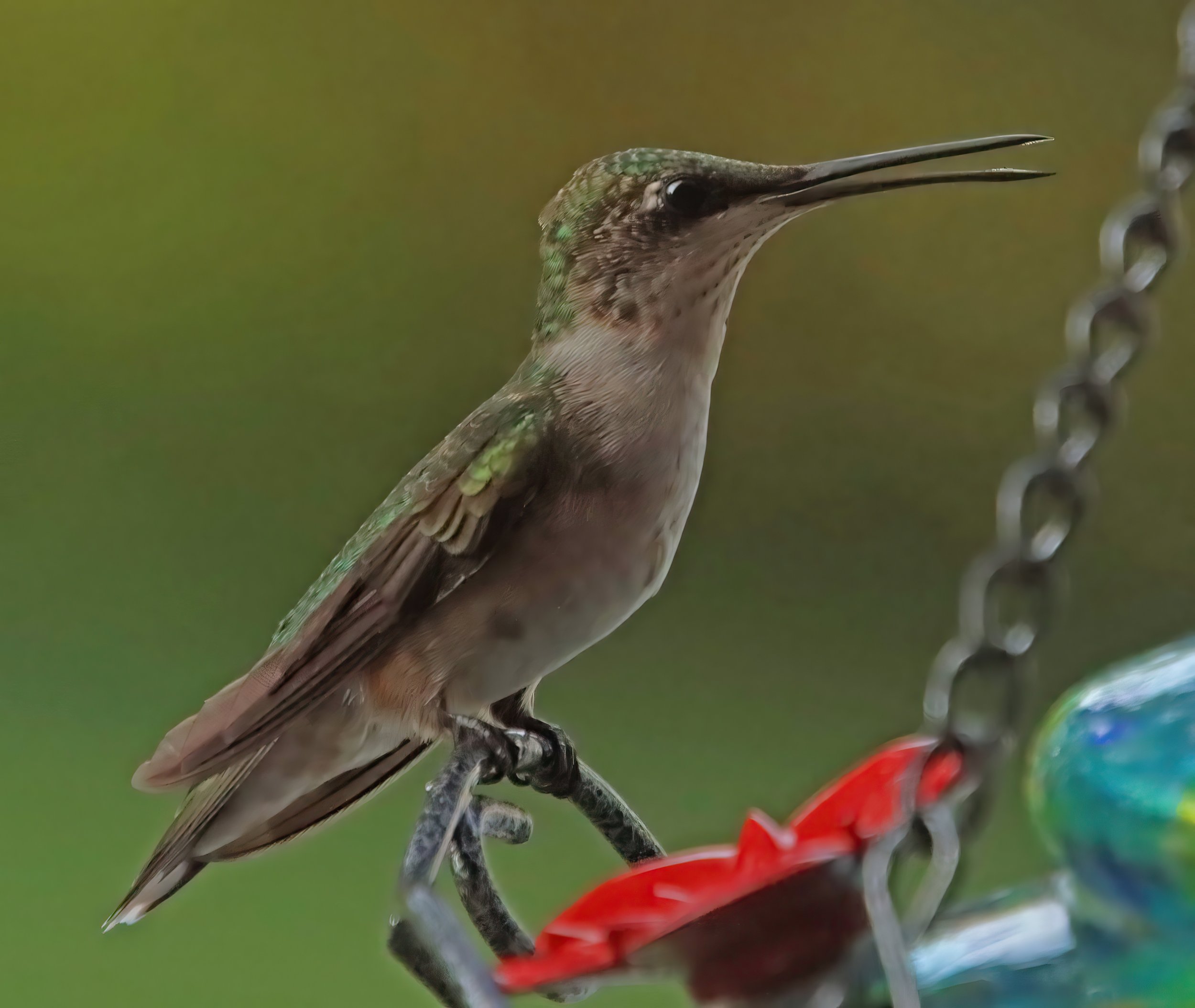 IMG_4656 1-gigapixel-very_compressed-scale-2_00x.jpg