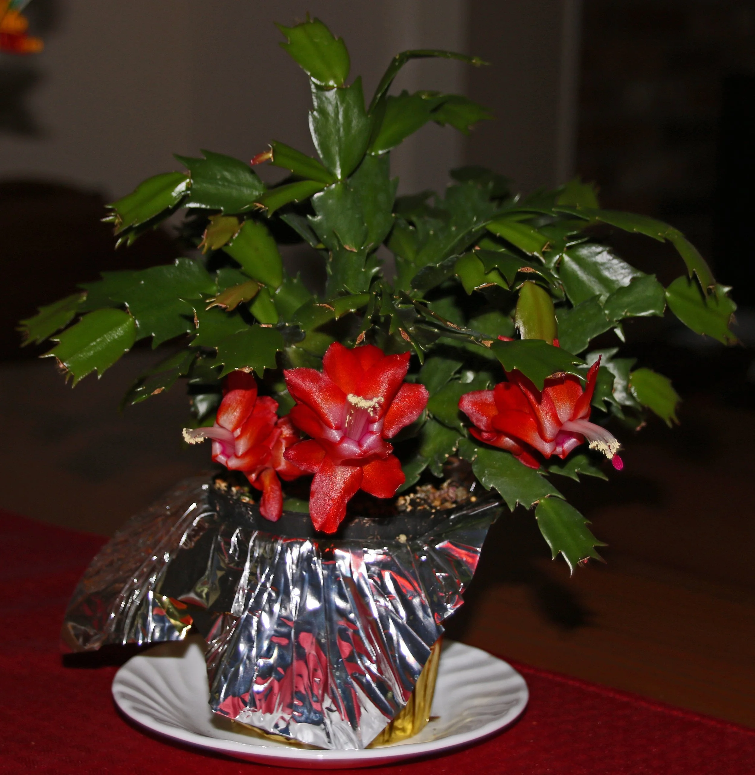 IMG_8434 1.jpg