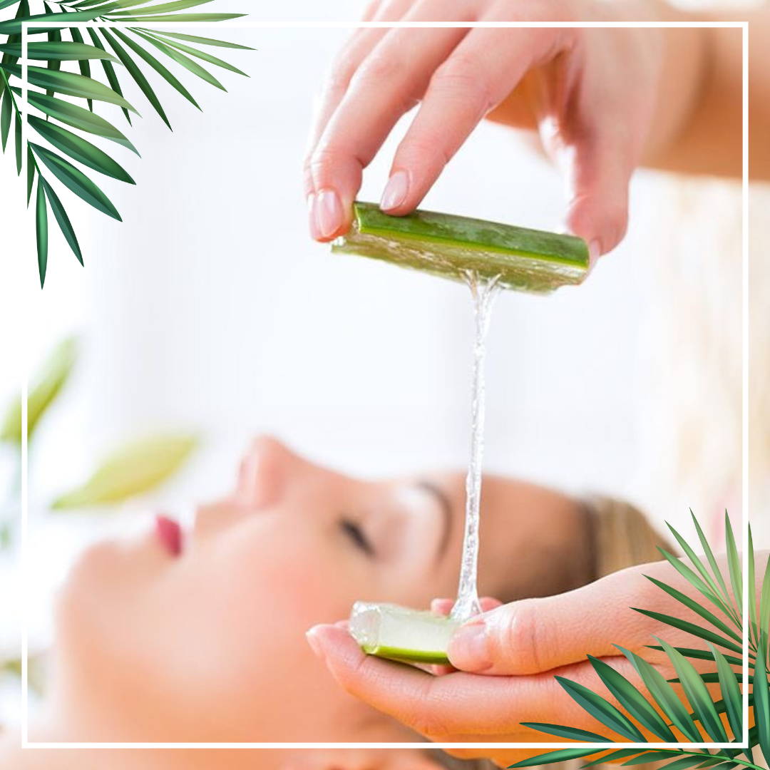 8 Langkah Mudah Untuk Menggunakan Lidah Buaya Pada Wajah