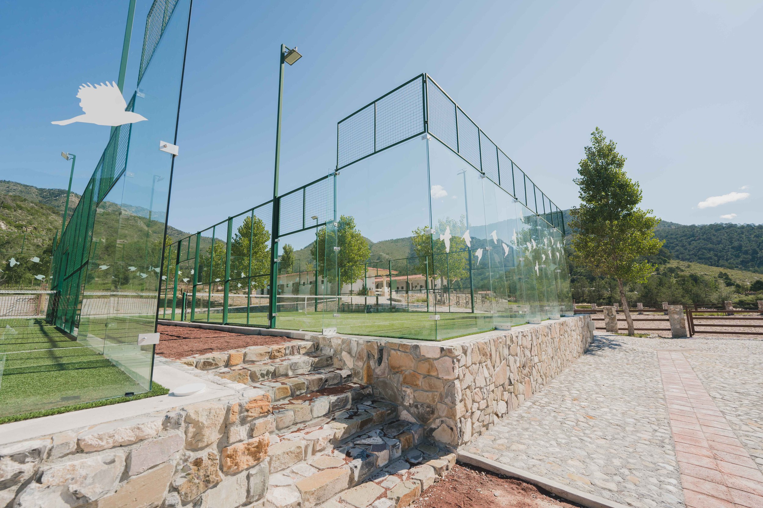 Cancha de padel