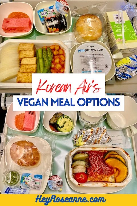 Korean Air s Vegan Meal Options Review Korean Air s Vegan Meal Options Review