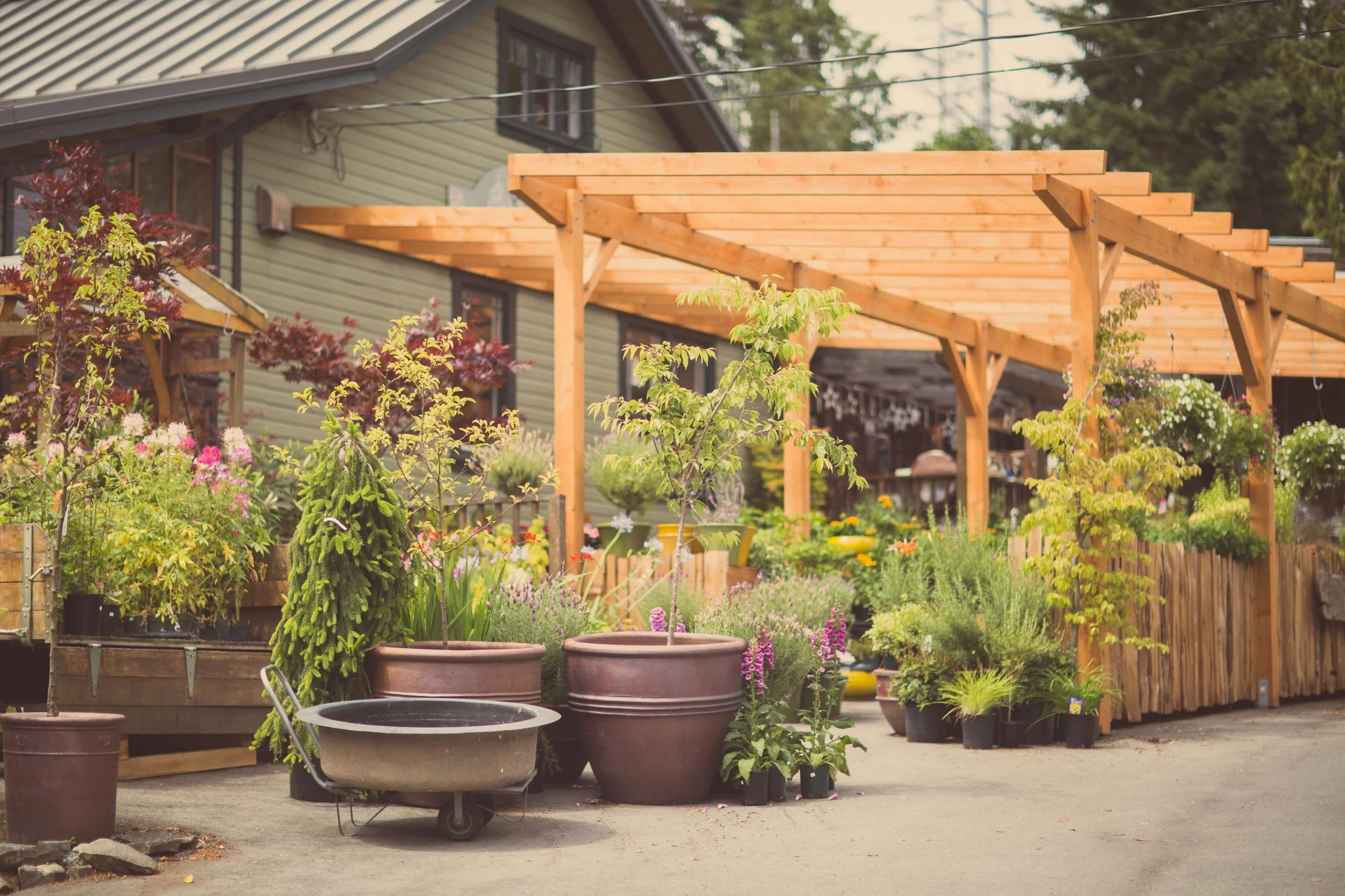 Foxglove Farm and Garden Supply