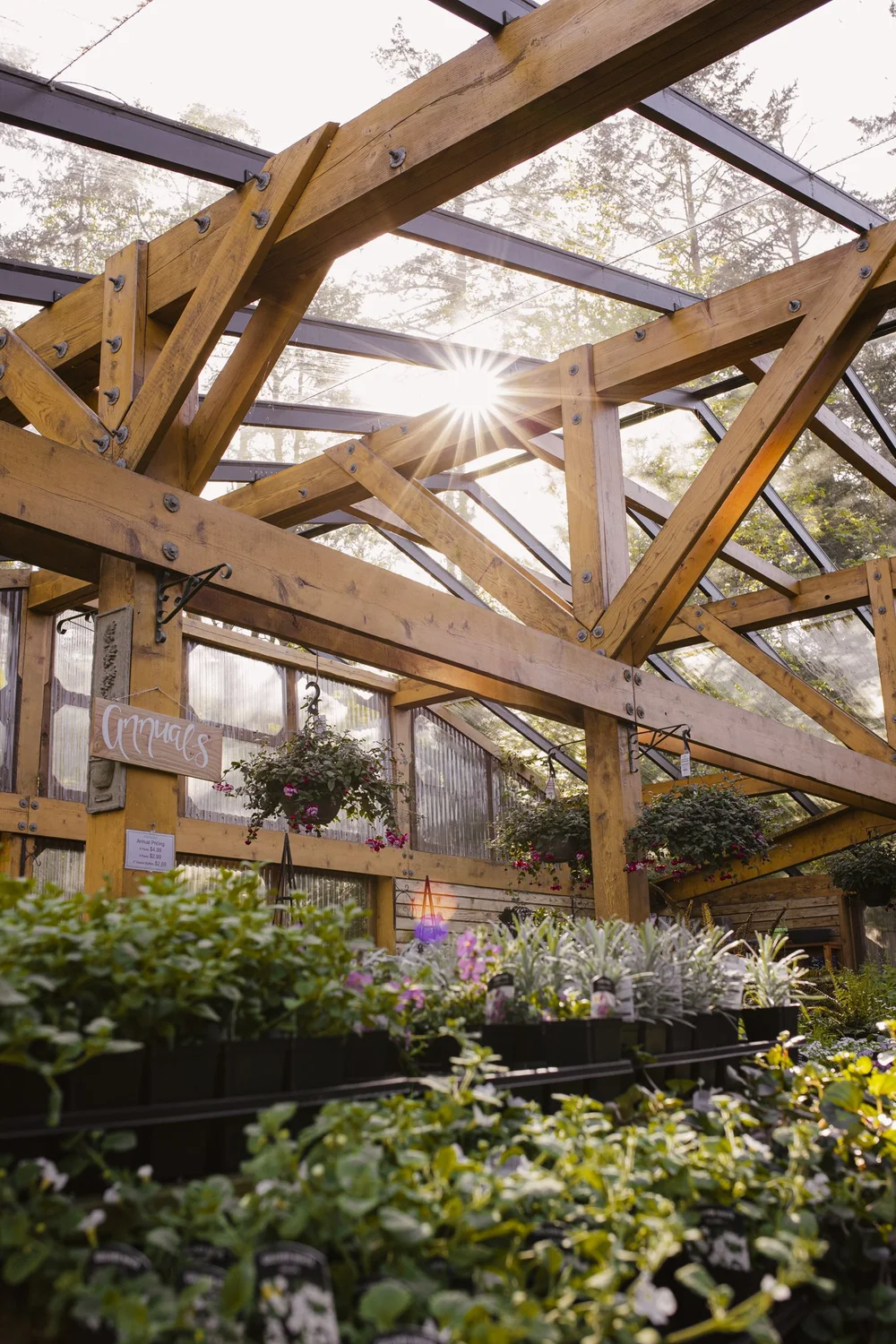 Florals and Floral Delivery Salt Spring Island — Foxglove Farm and ...