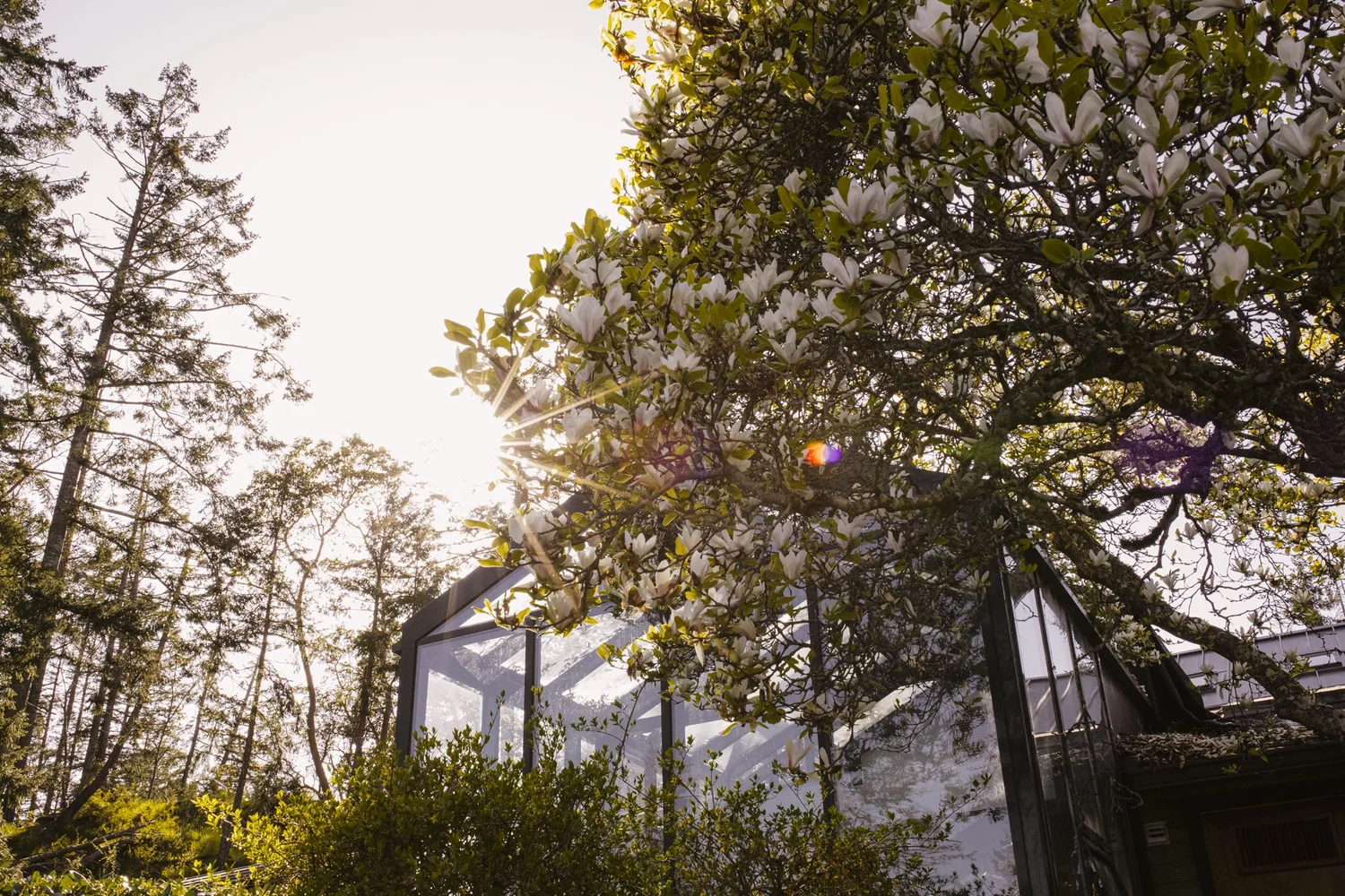 floral & garden — Foxglove Farm and Garden Supply