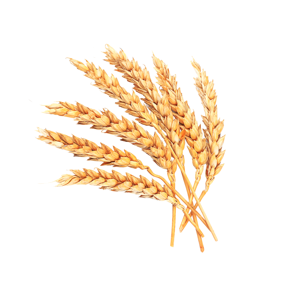 Post Consumer Brands