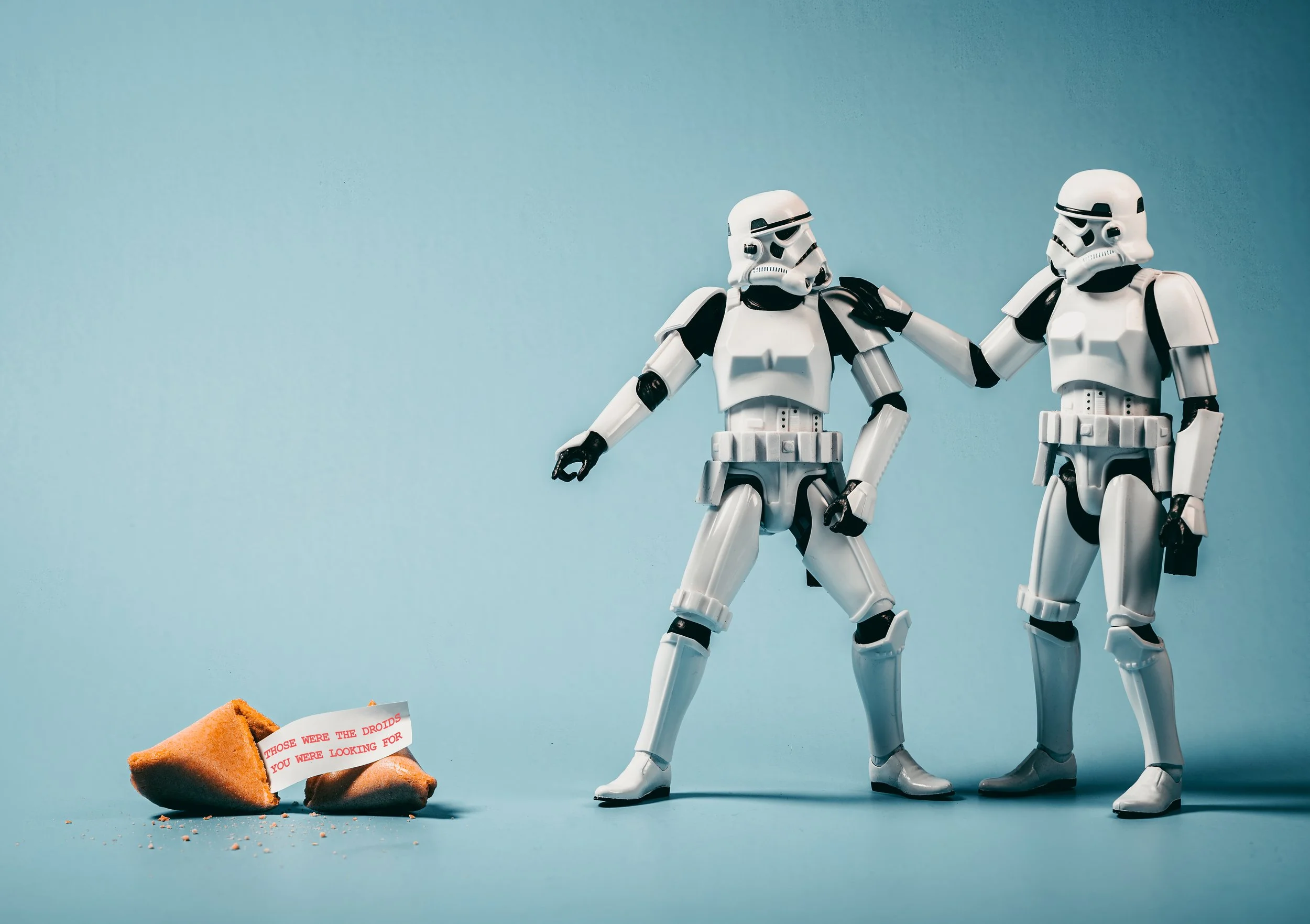 Stormtroopers Fortune Print File.jpg