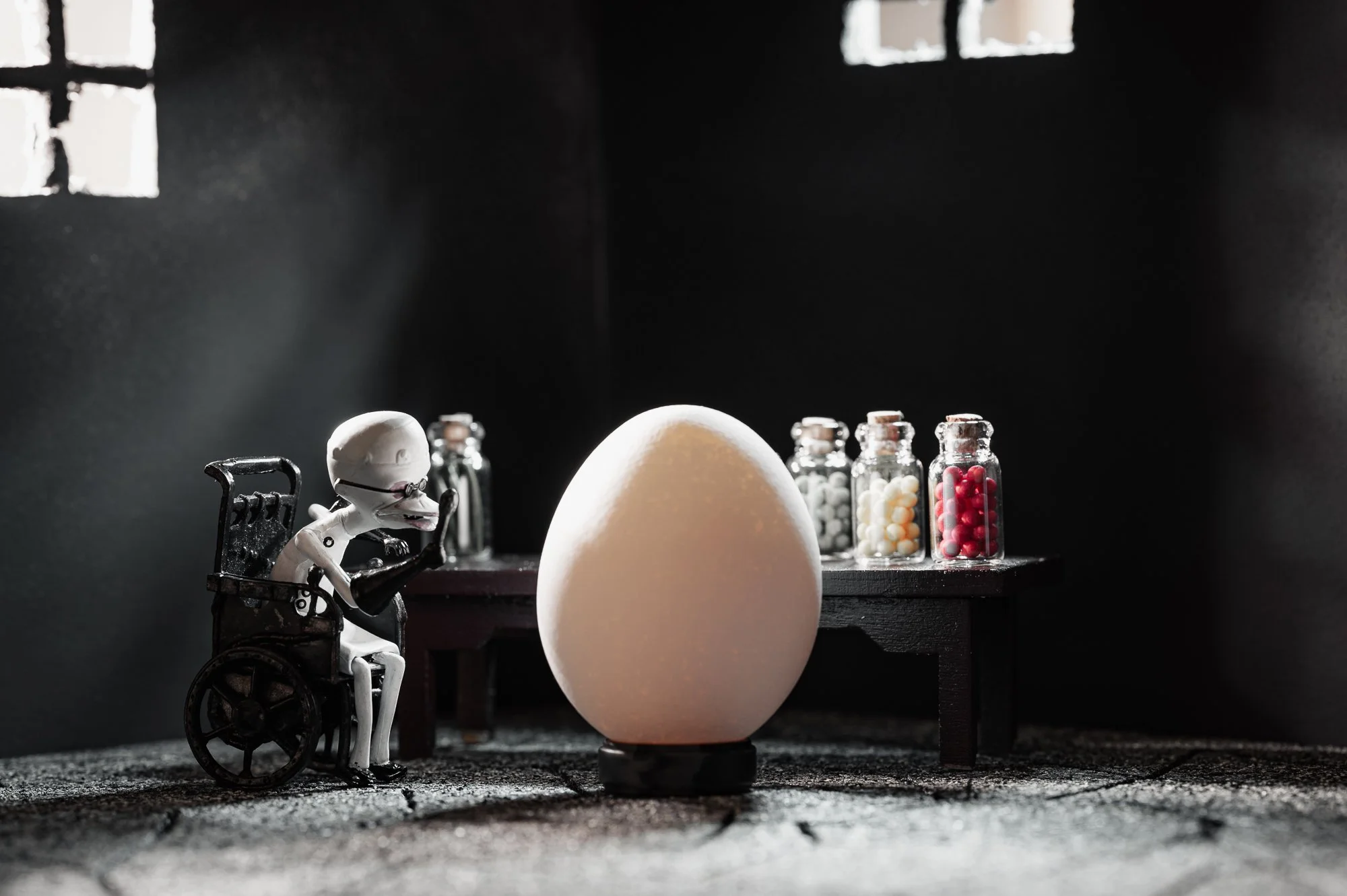 Sirdork Egg 2-1.jpg
