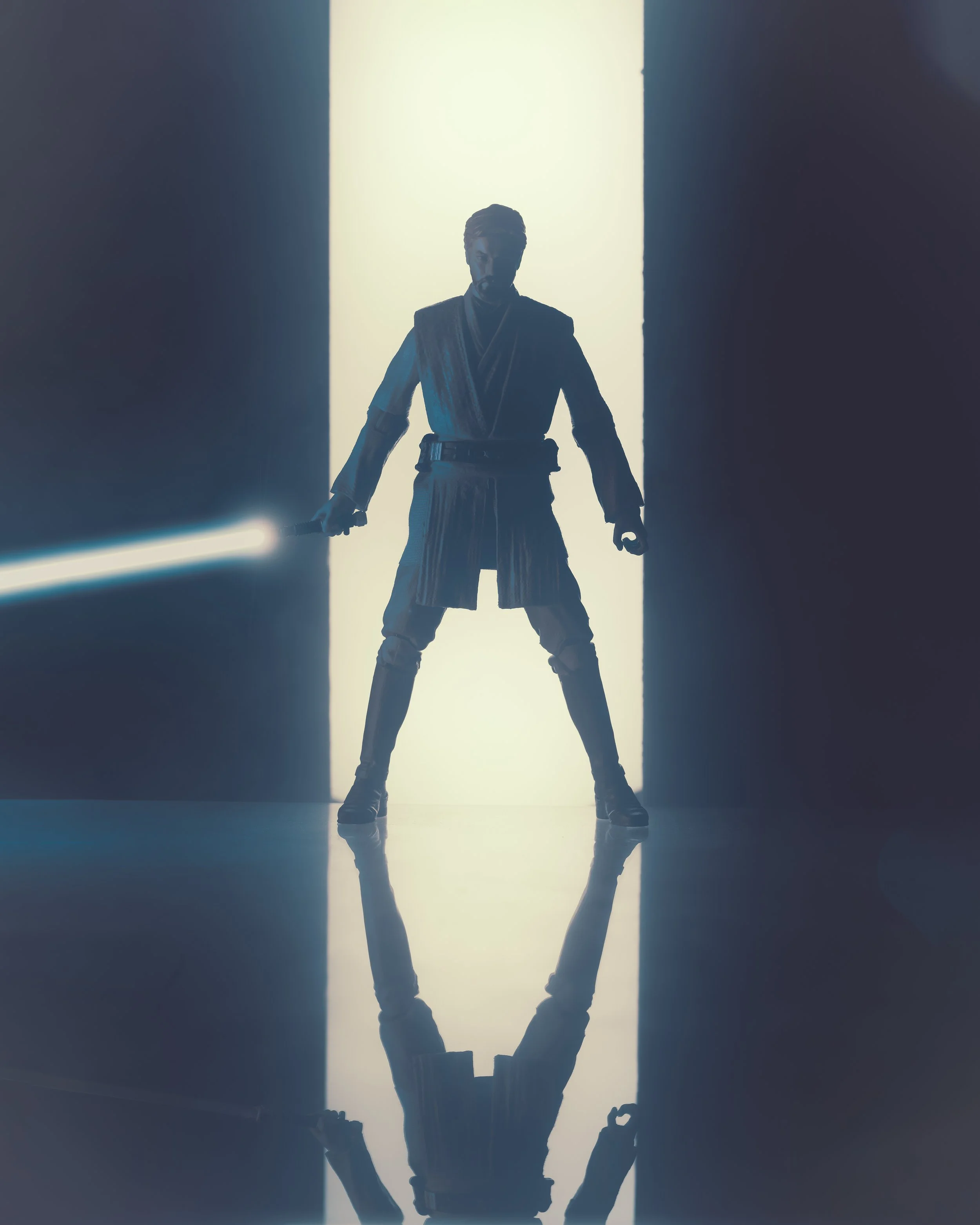 Obi Wan (1 of 1).JPG
